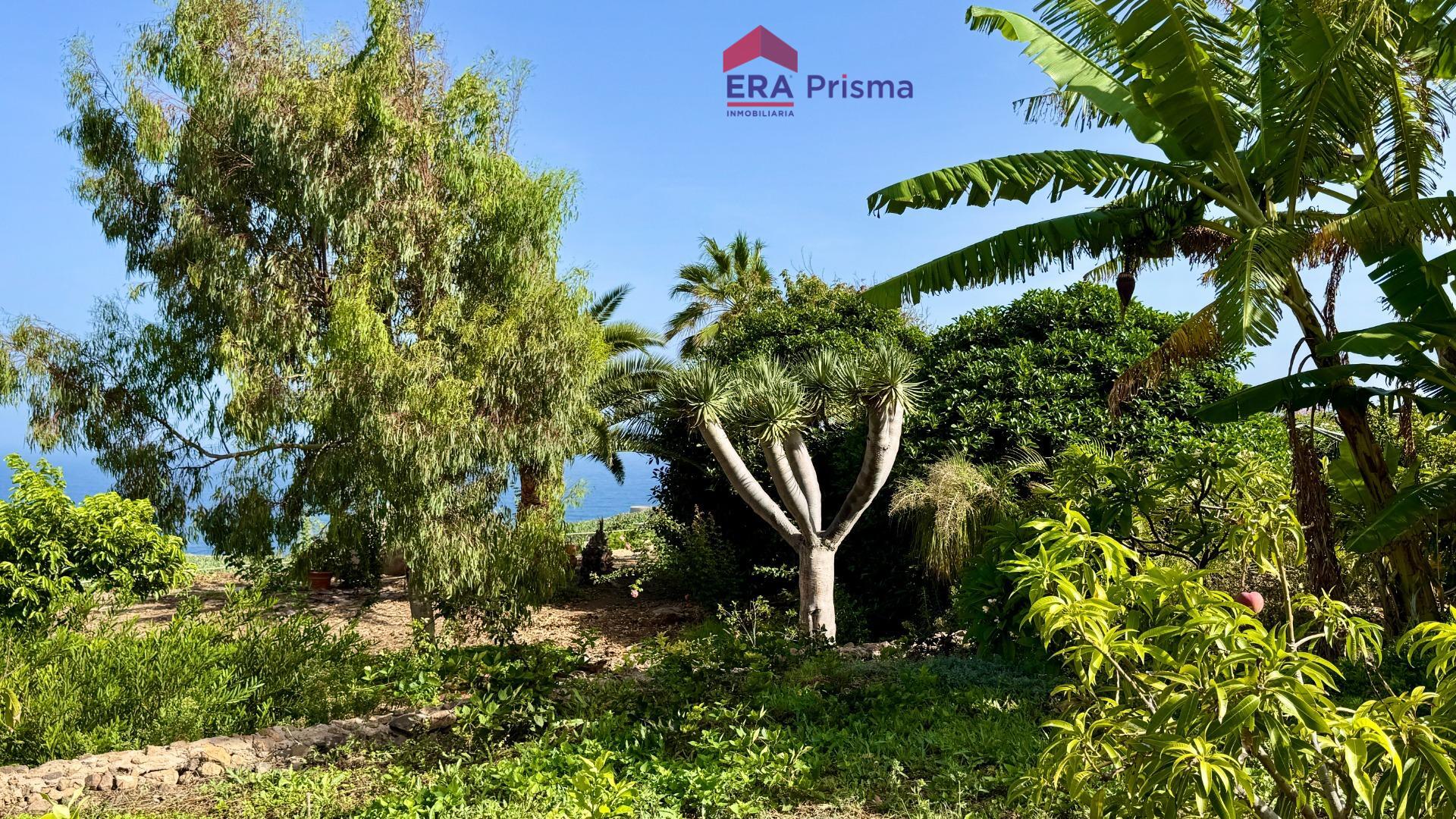 Casas rústicas en Buenavista del Norte, Buenavista del norte pueblo tenerife — imagen 30