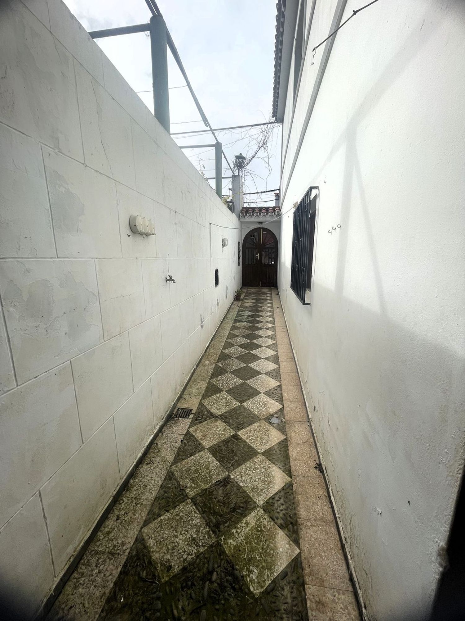 Pareados en Teror — imagen 11