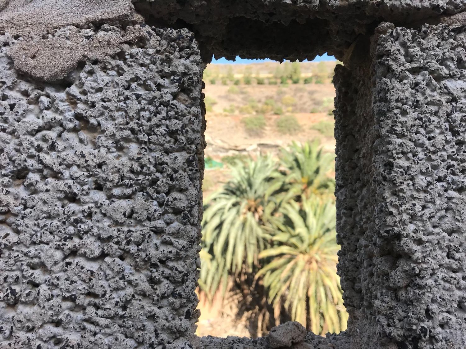 Casas rústicas en Telde — imagen 17