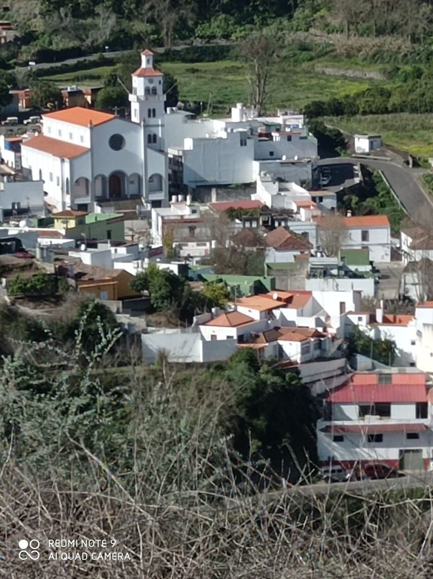 Terrenos en Moya — imagen 23