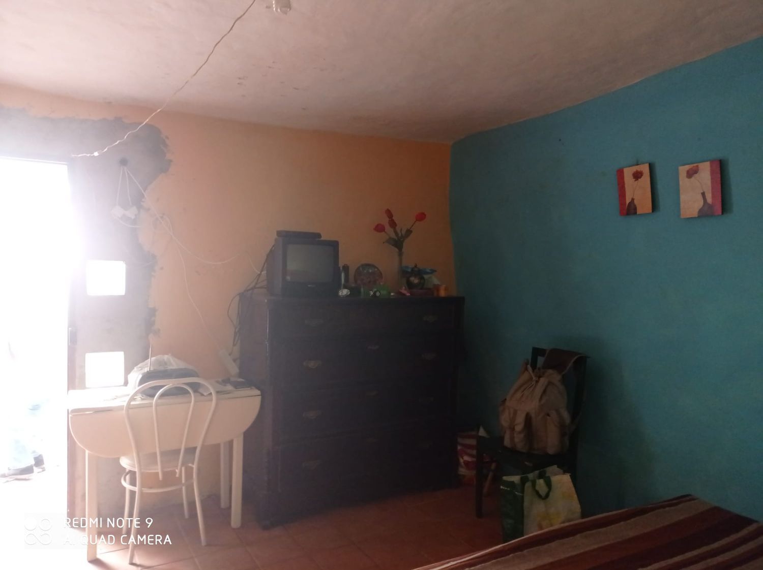 Terrenos en Moya — imagen 46