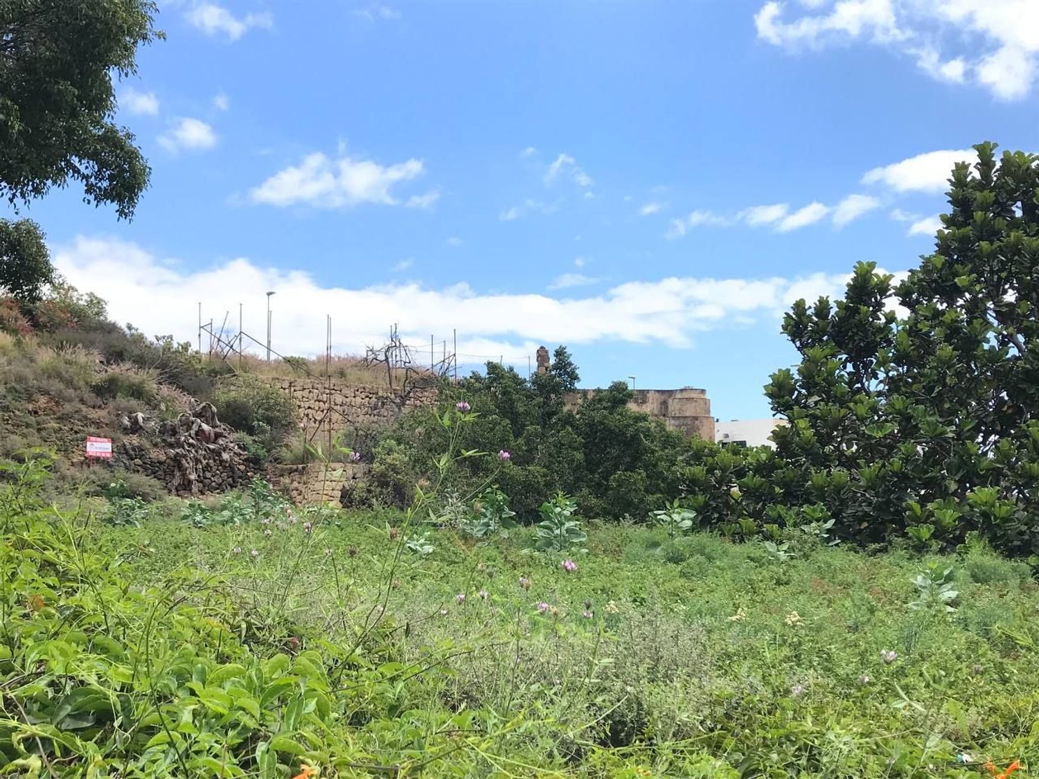 Terrenos en Güímar — imagen 8