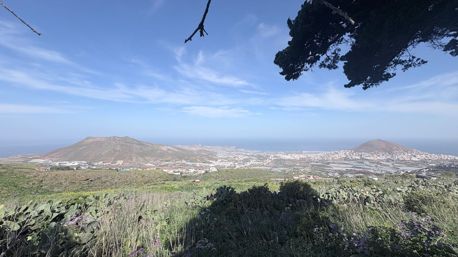 Casas rústicas en Gáldar — imagen 26