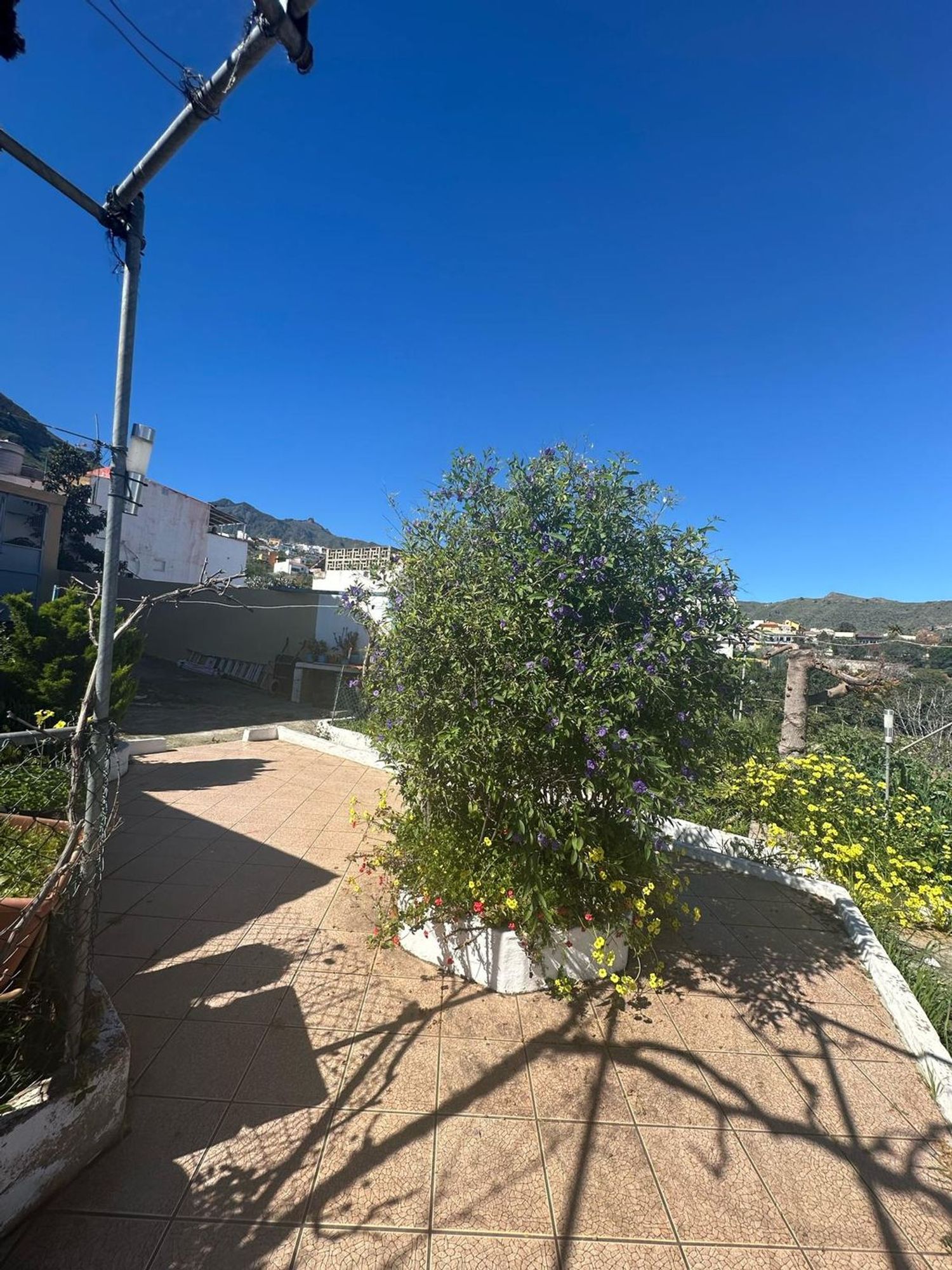 Adosados en Valsequillo de Gran Canaria — imagen 7