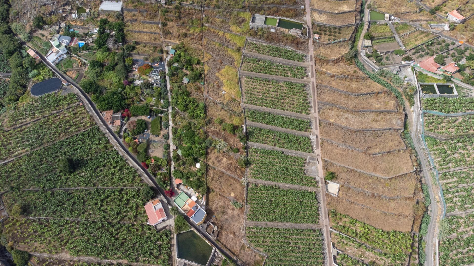 Casas rústicas en Silos, Los, Zona Centro — imagen 3