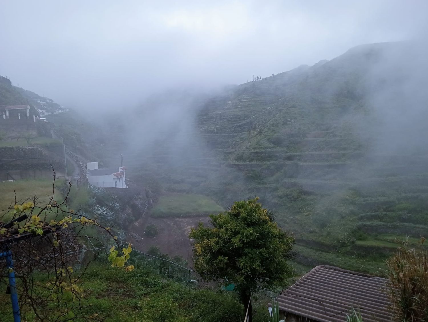 Casas rústicas en Gáldar — imagen 26