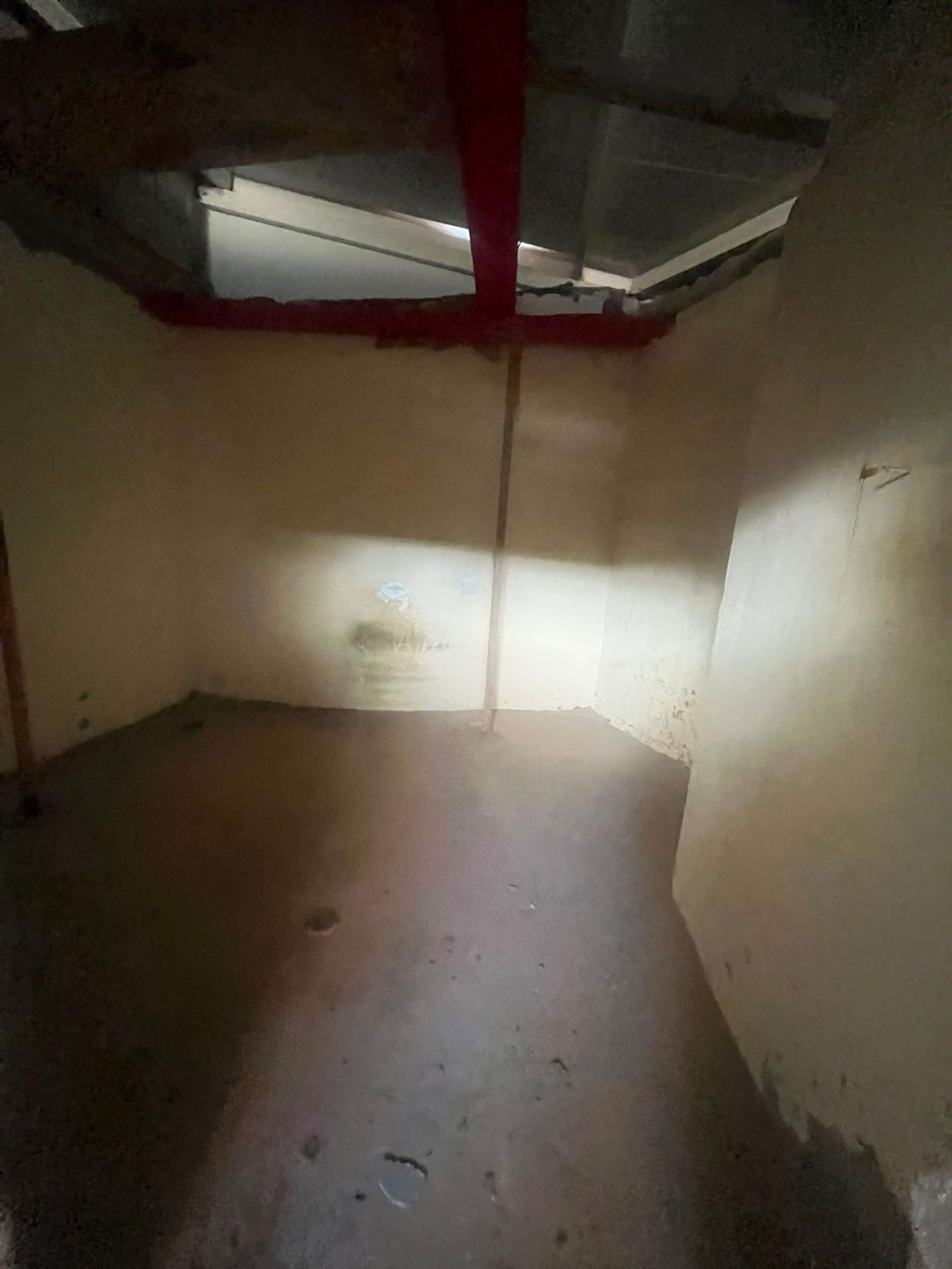 Independientes en Mogán — imagen 11