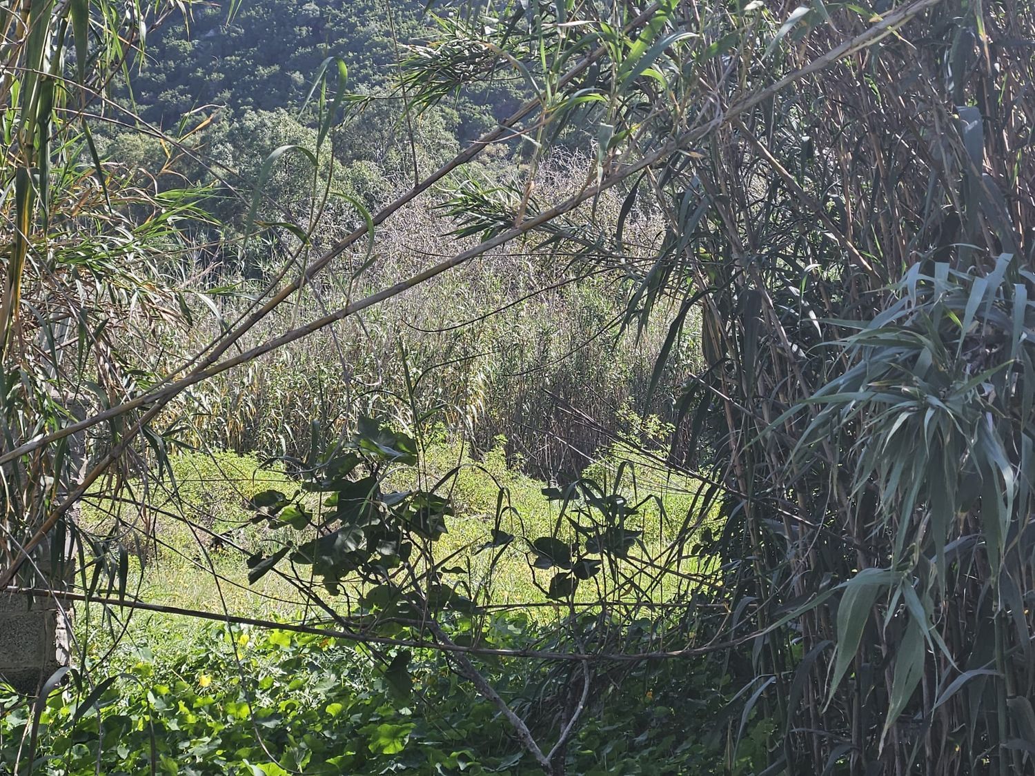 Terrenos en Arucas — imagen 1
