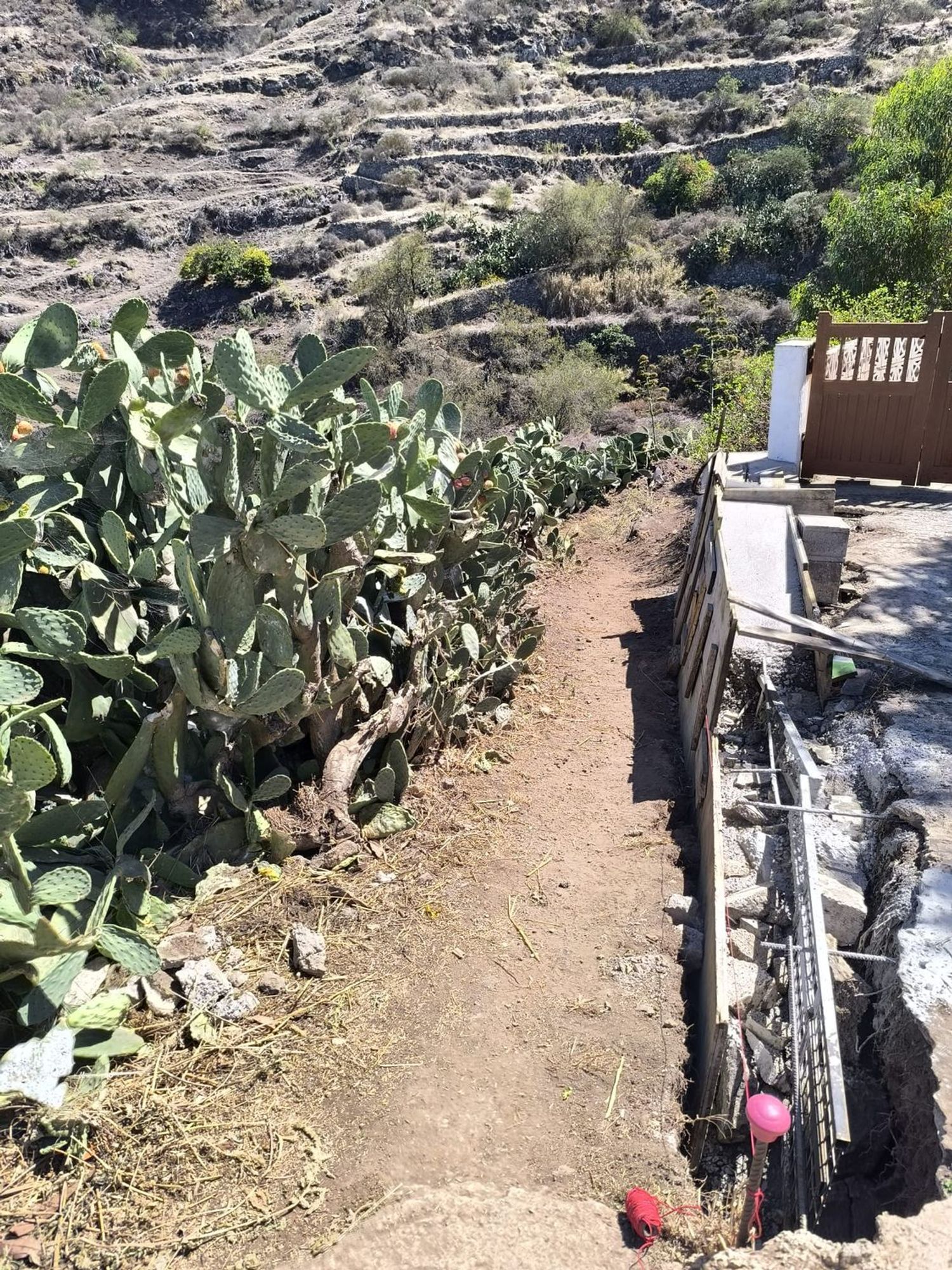 Terrenos en Vega de San Mateo — imagen 21