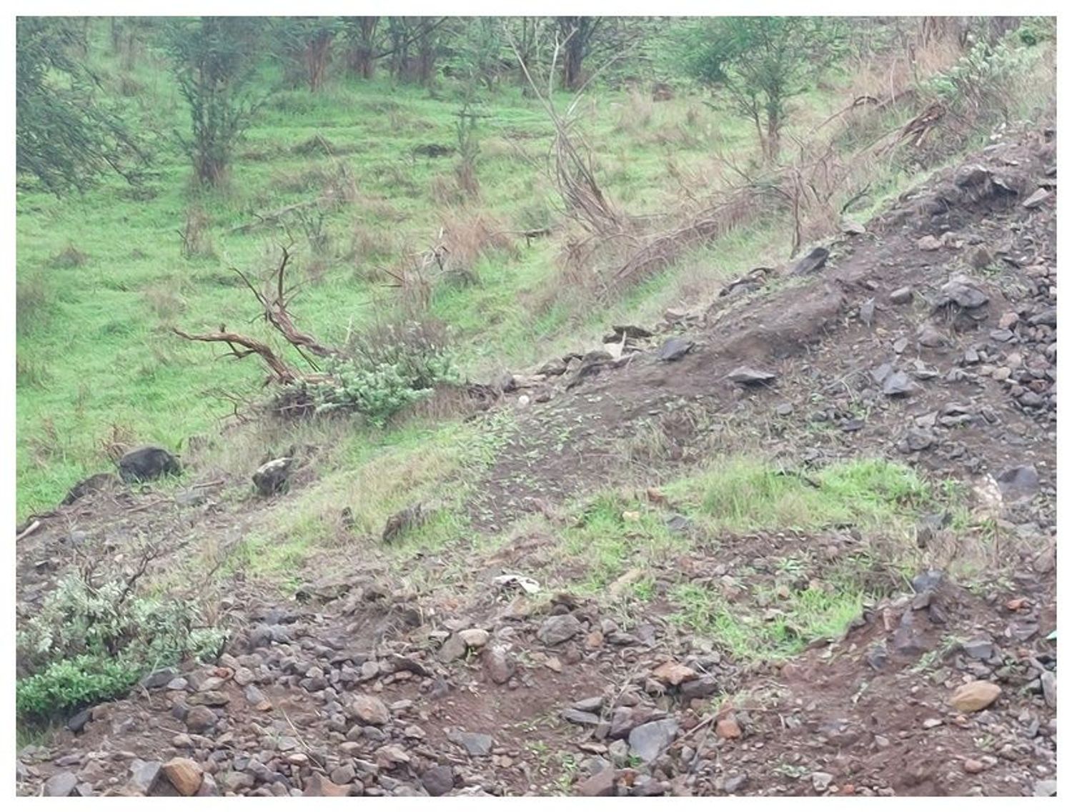 Terrenos en Moya — imagen 7