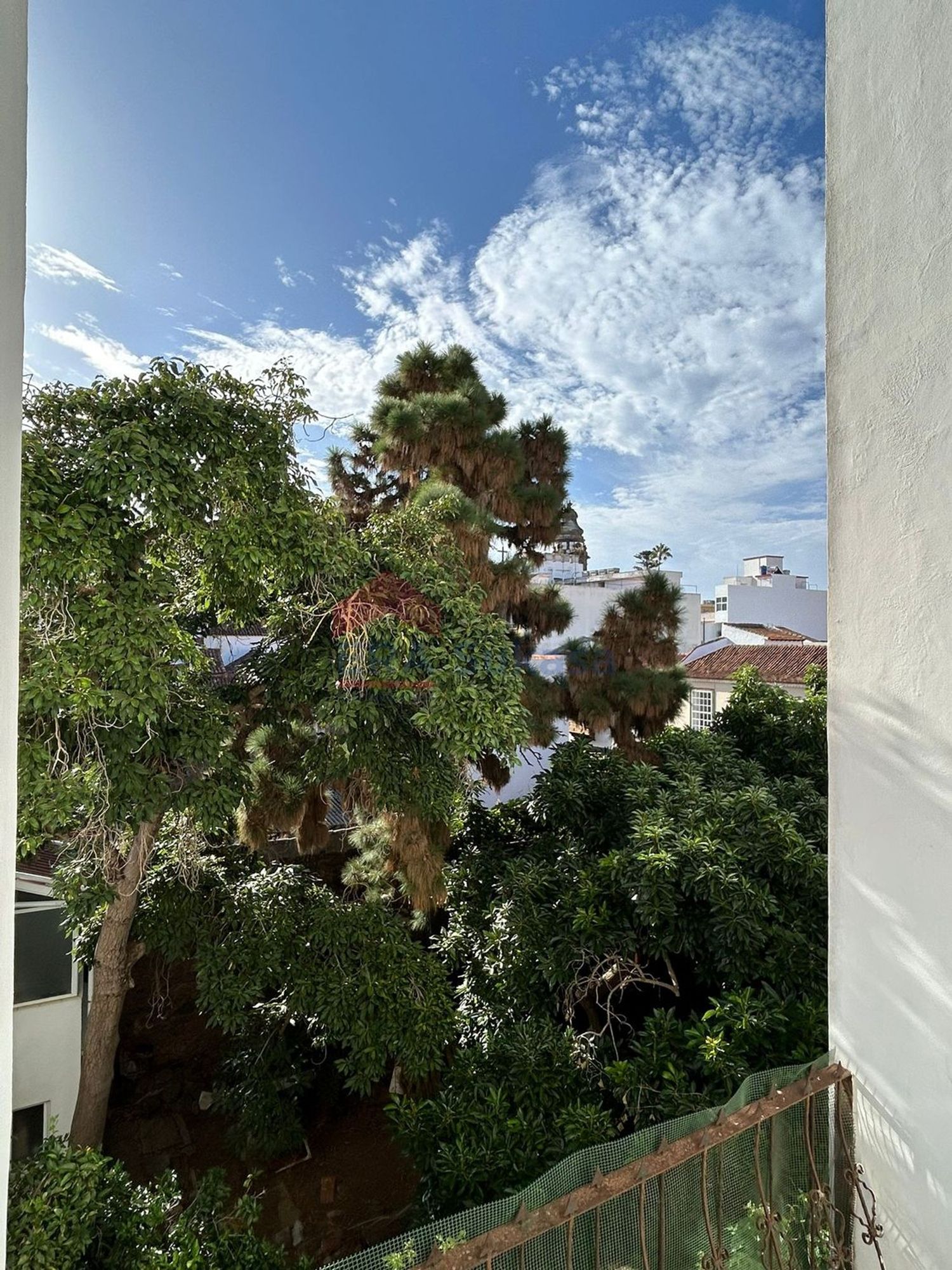 Pisos en San Cristóbal de La Laguna, LA LAGUNA — imagen 13