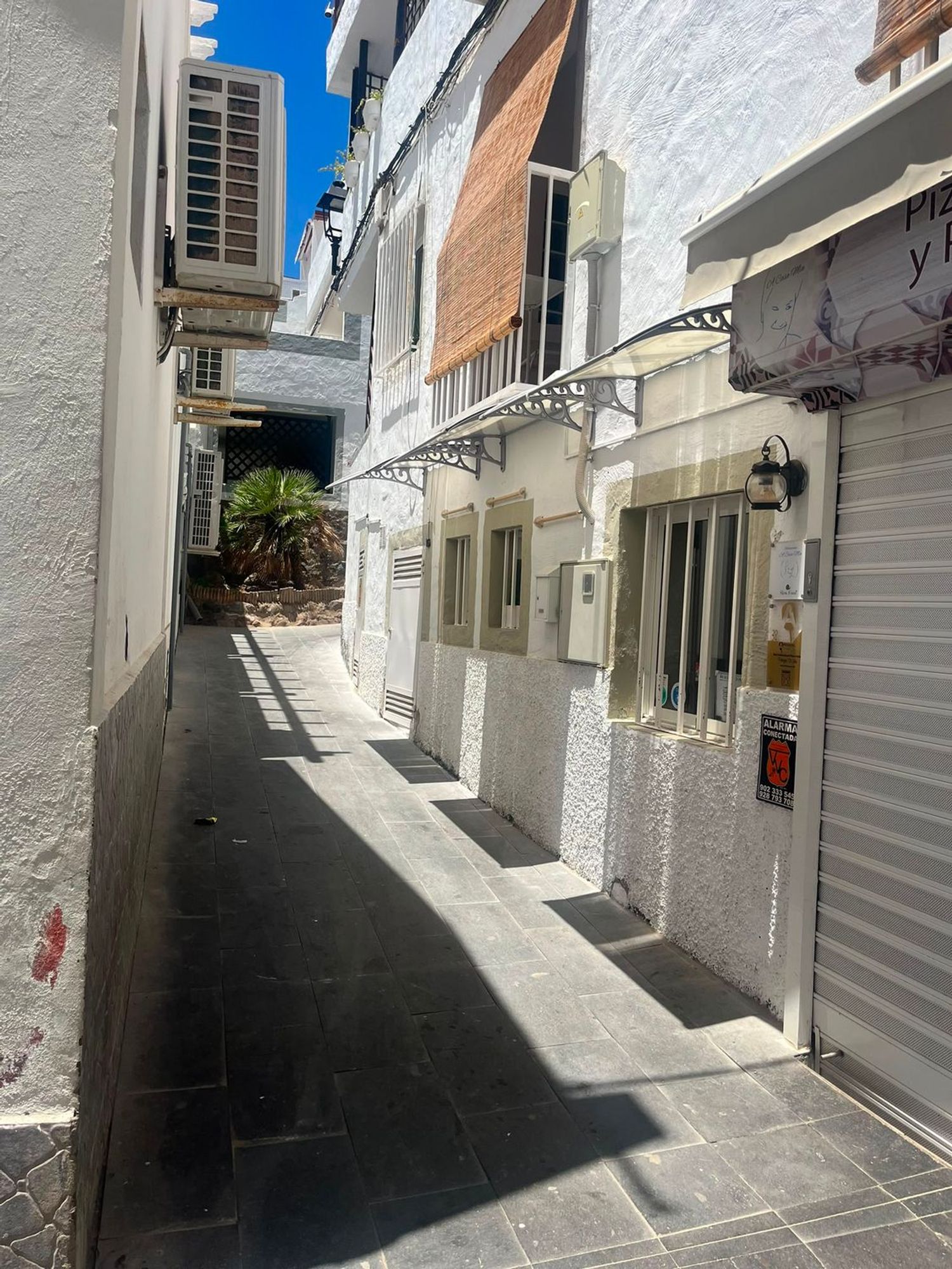 Independientes en Mogán — imagen 6