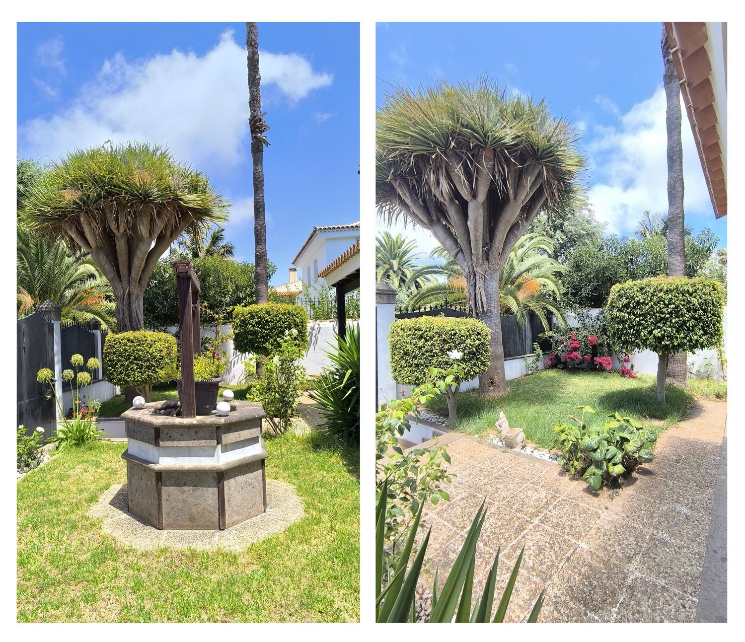 Independientes en San Cristóbal de La Laguna, LA LAGUNA — imagen 50
