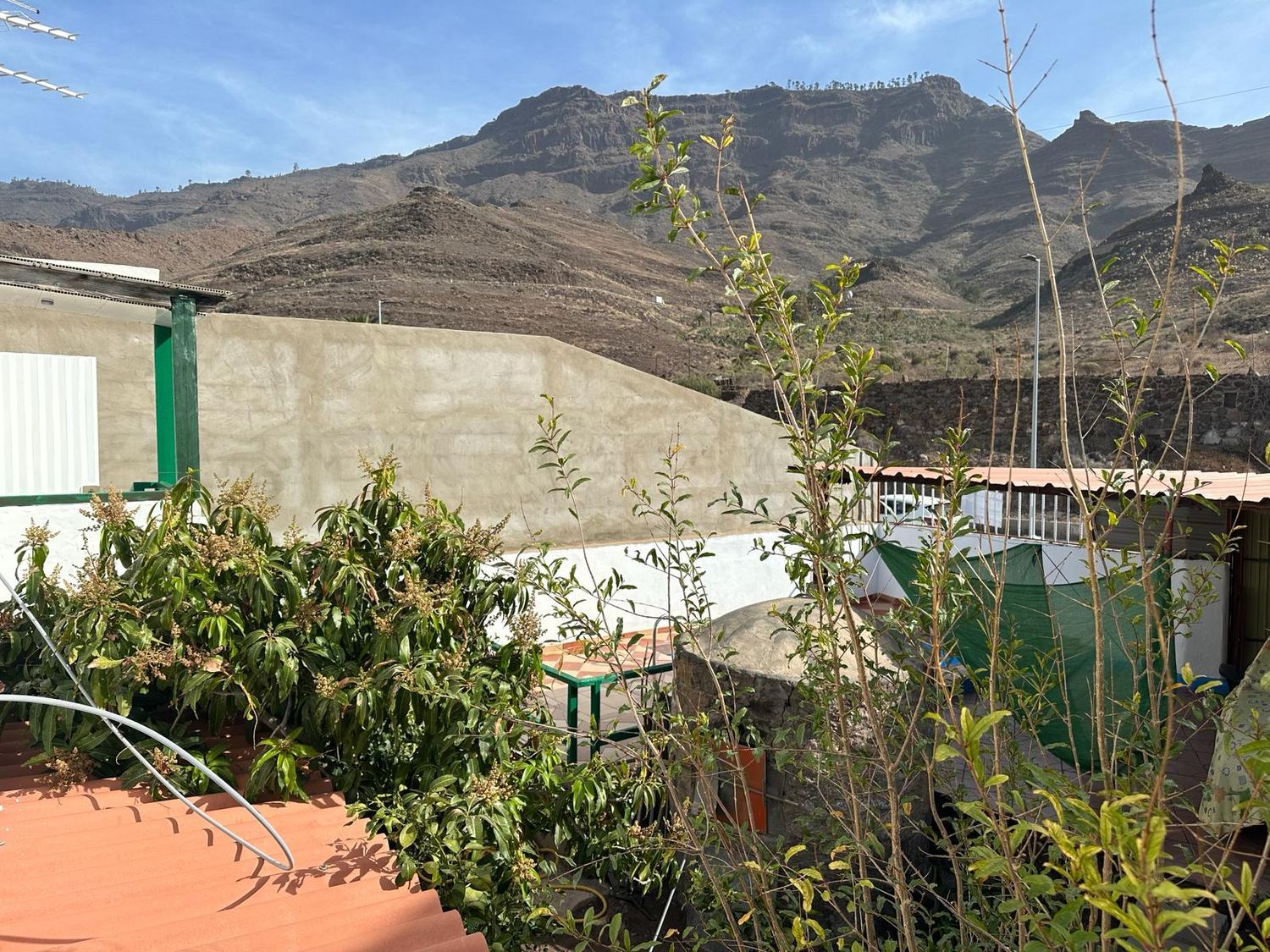 Pareados en Mogán — imagen 30