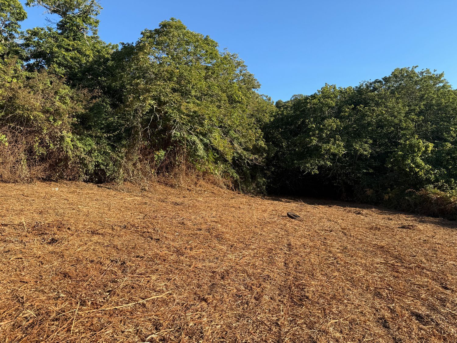 Terrenos en Matanza de Acentejo, La — imagen 20