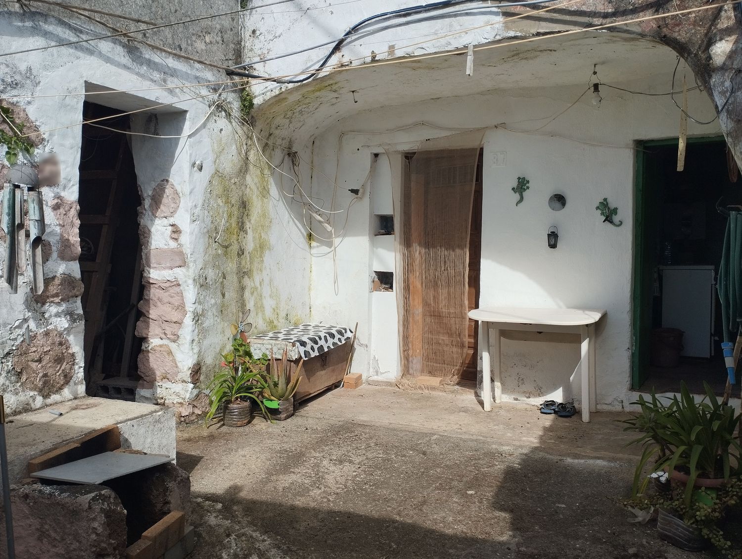 Terrenos en Moya — imagen 2