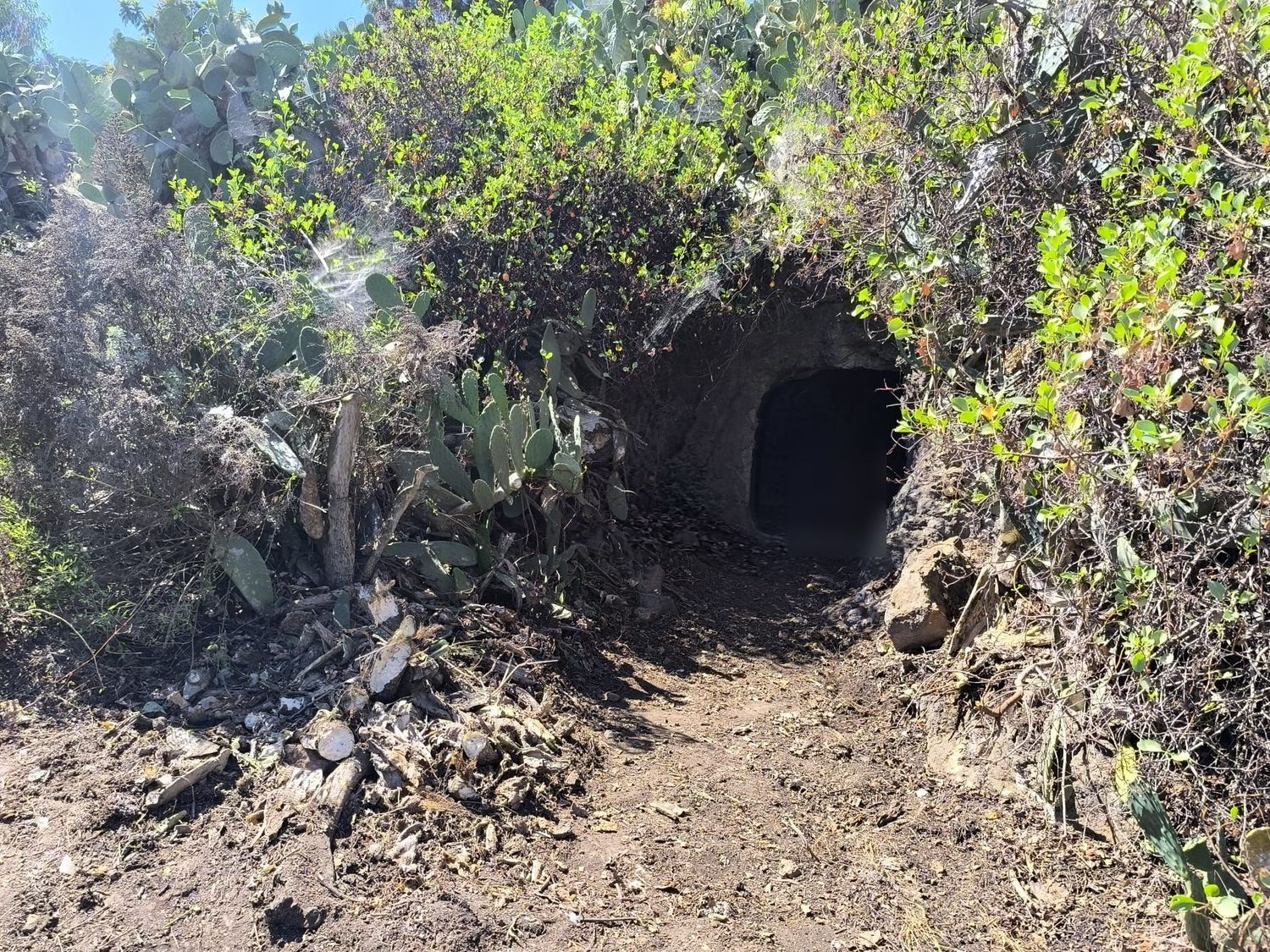 Terrenos en Vega de San Mateo — imagen 22