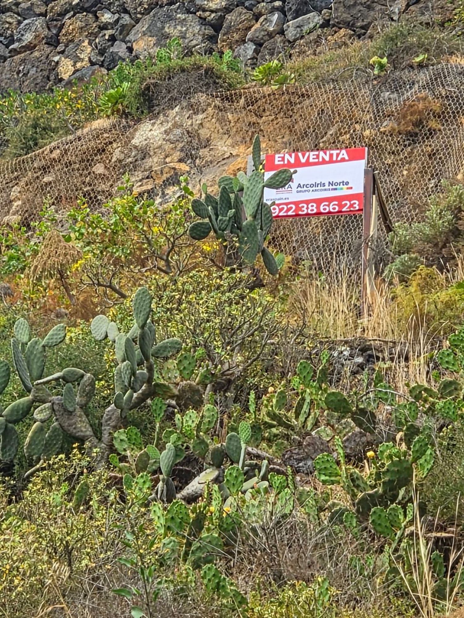 Terrenos en Garachico — imagen 26