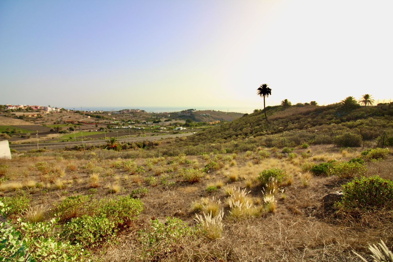 Terrenos en Palmas de Gran Canaria, Las, Tafira — imagen 11
