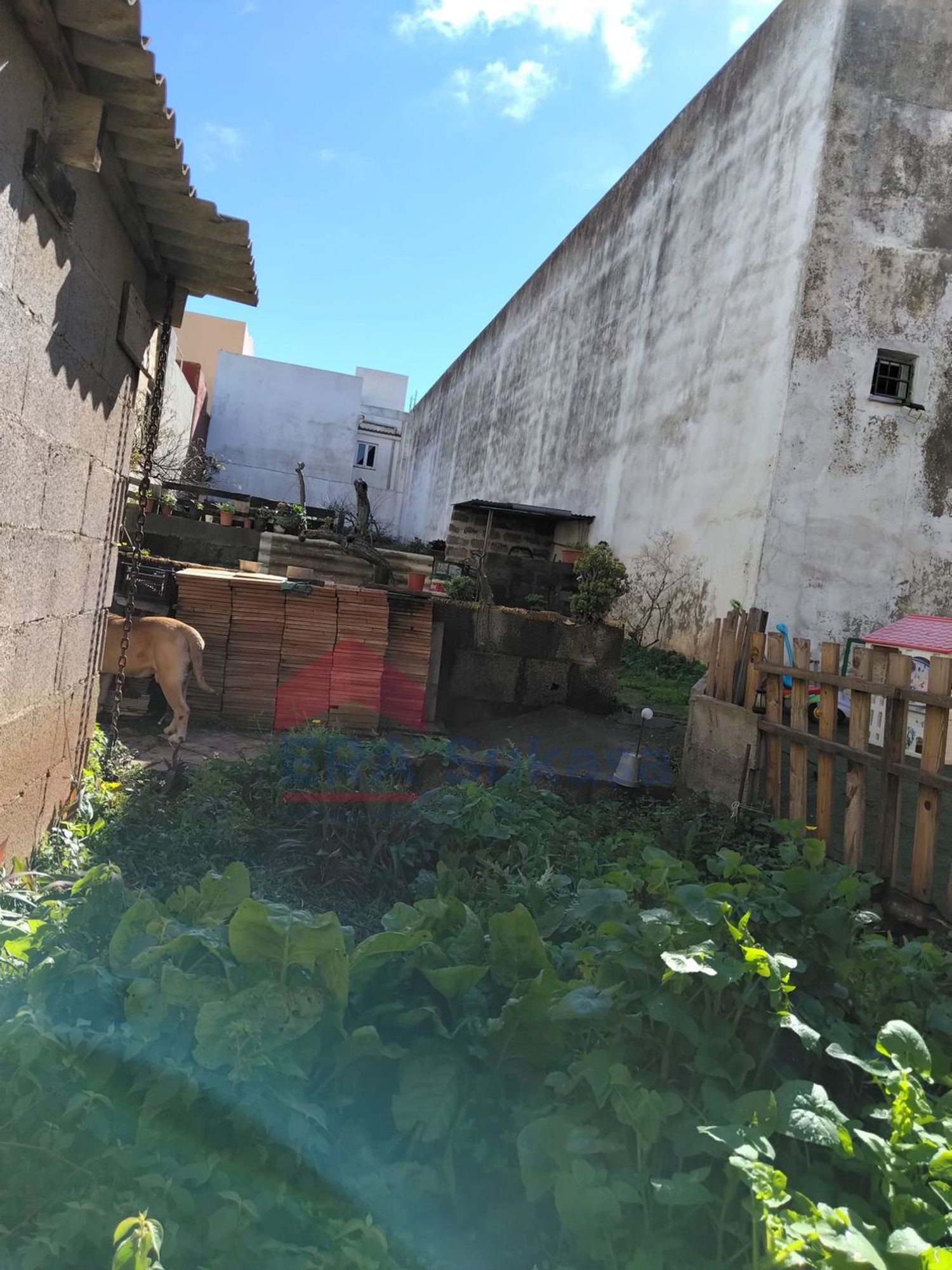 Terrenos en San Cristóbal de La Laguna, LA LAGUNA — imagen 3