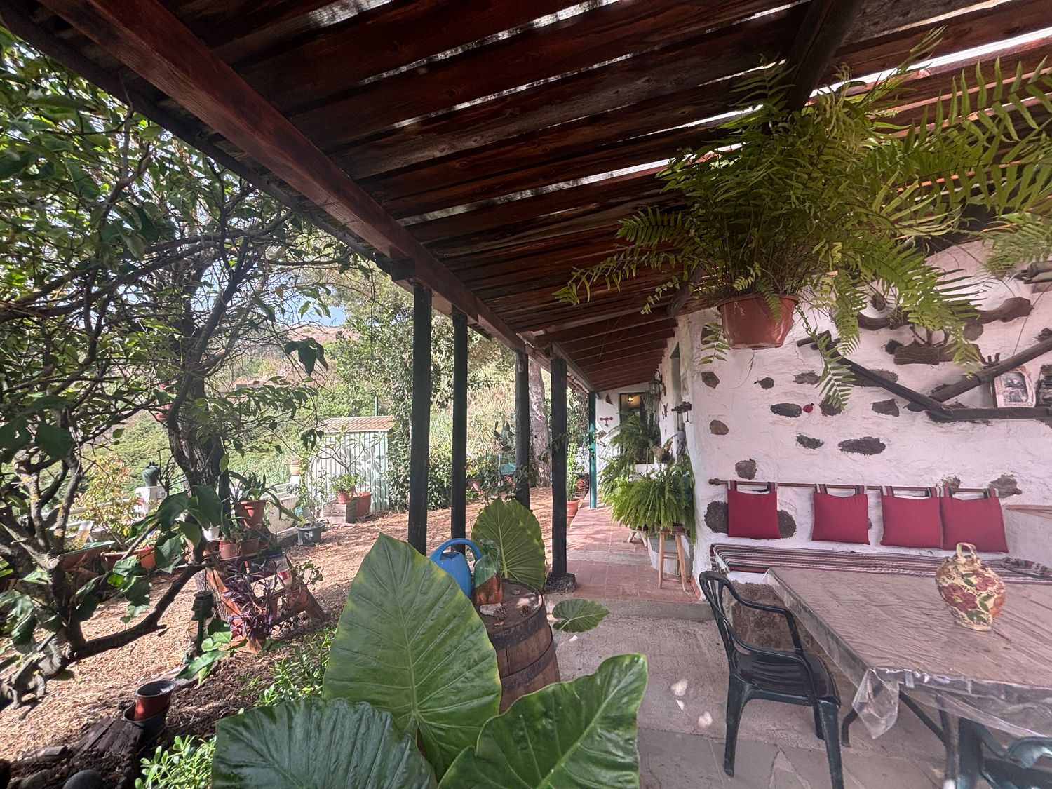 Casas rústicas en Vega de San Mateo — imagen 21