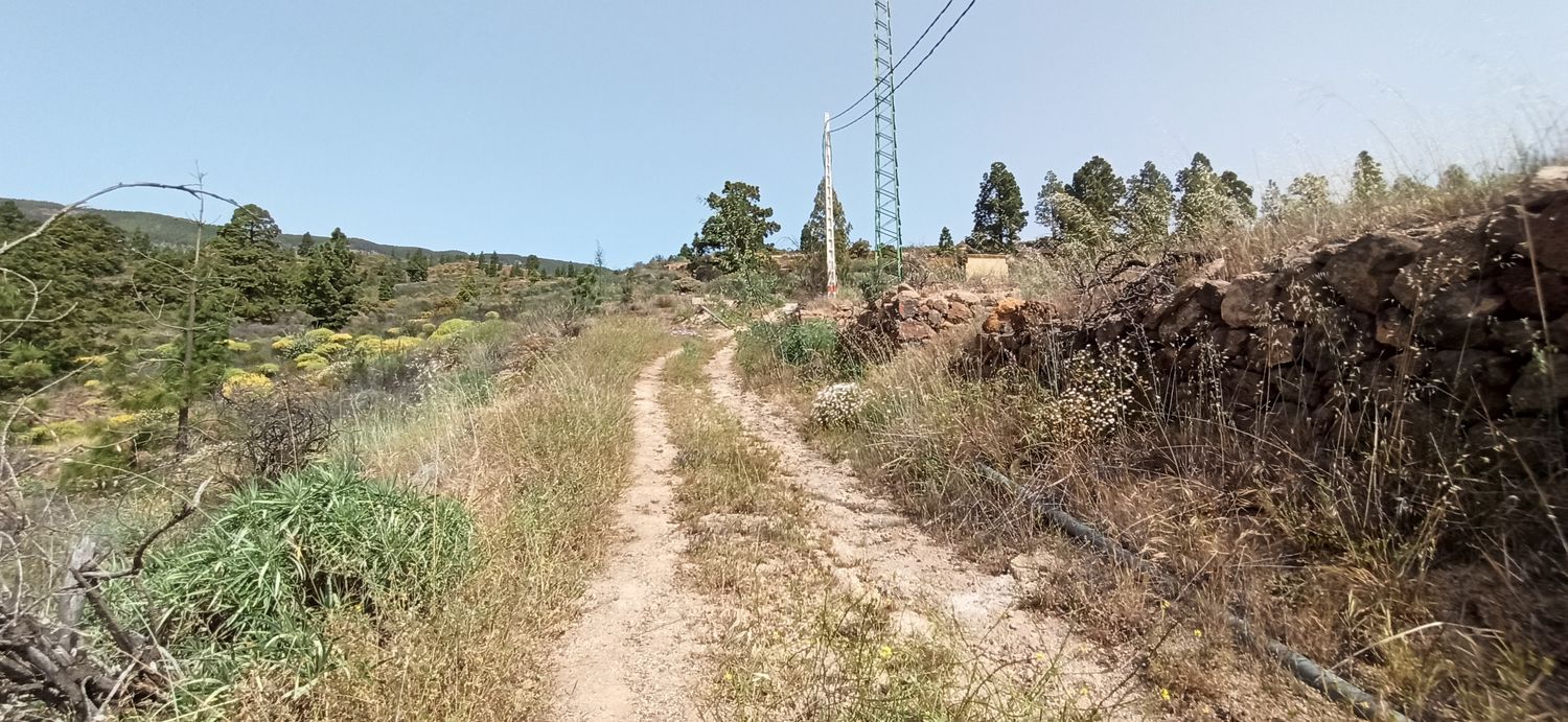Terrenos en Fasnia — imagen 11