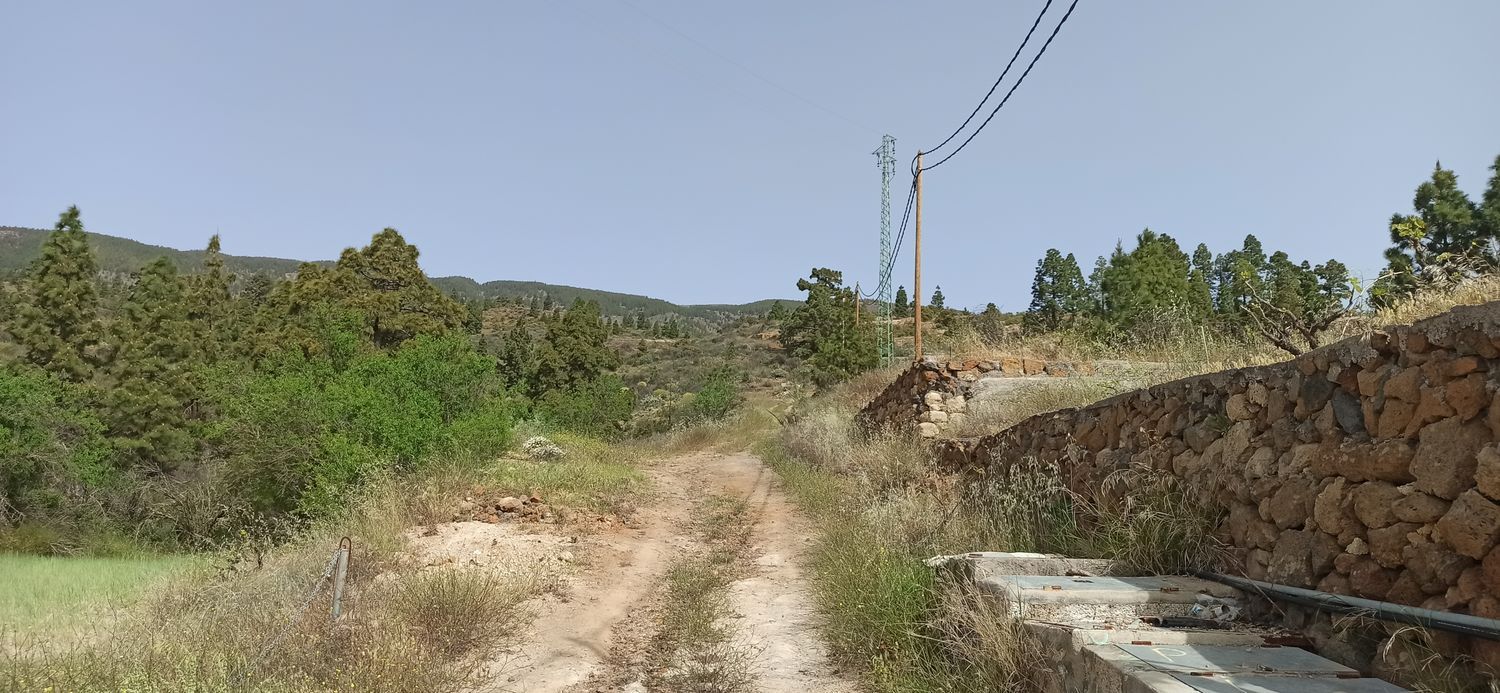 Terrenos en Fasnia — imagen 16
