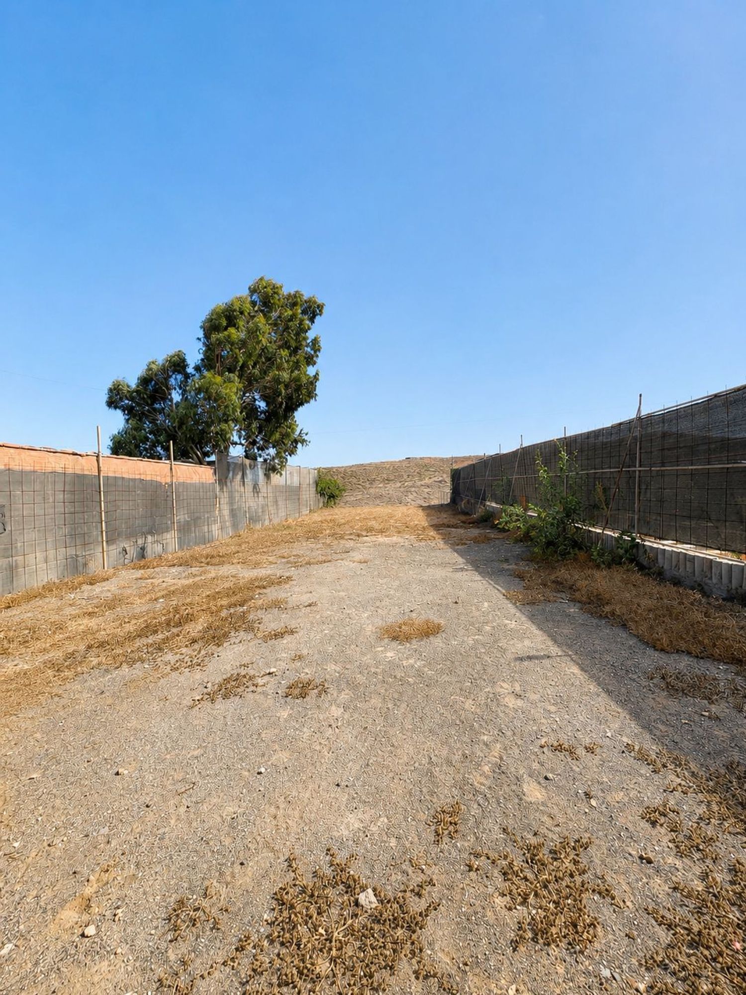 Terrenos en Telde — imagen 3
