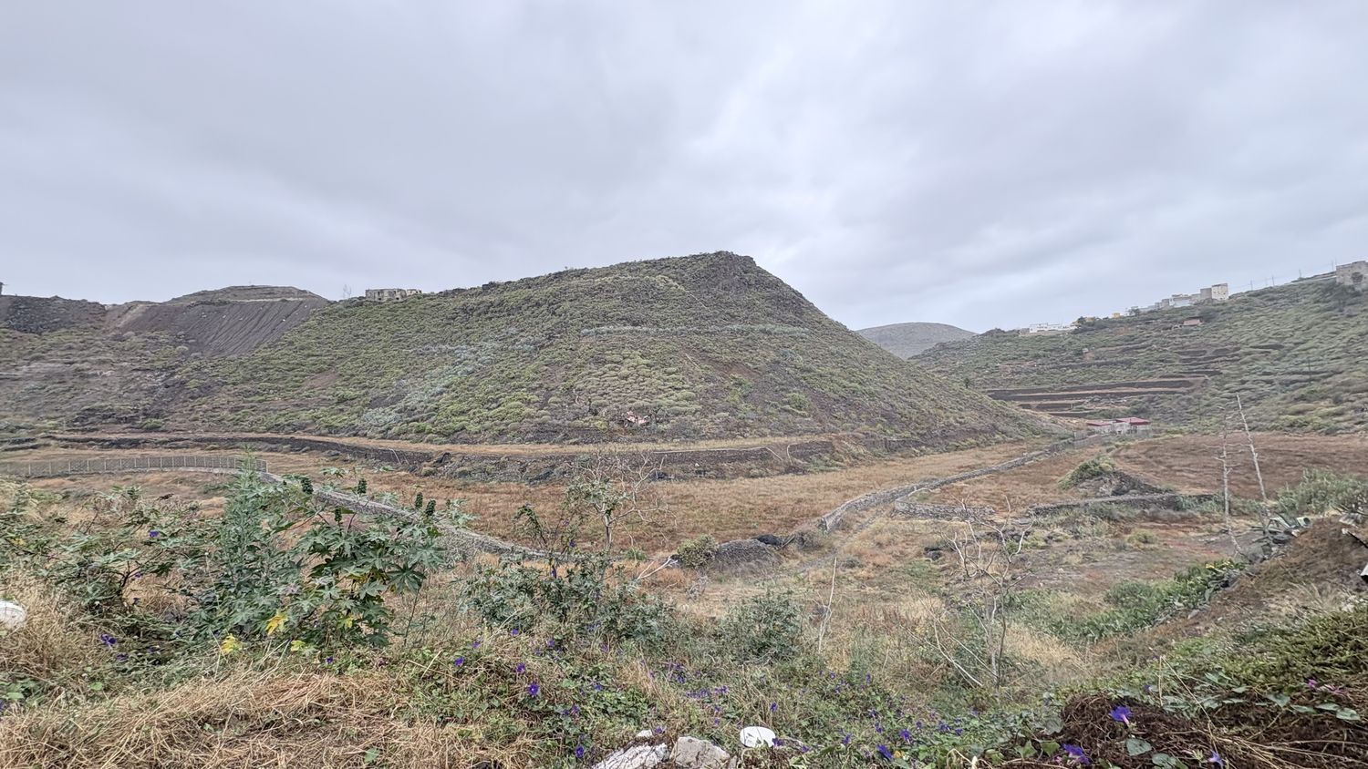 Terrenos — imagen 2