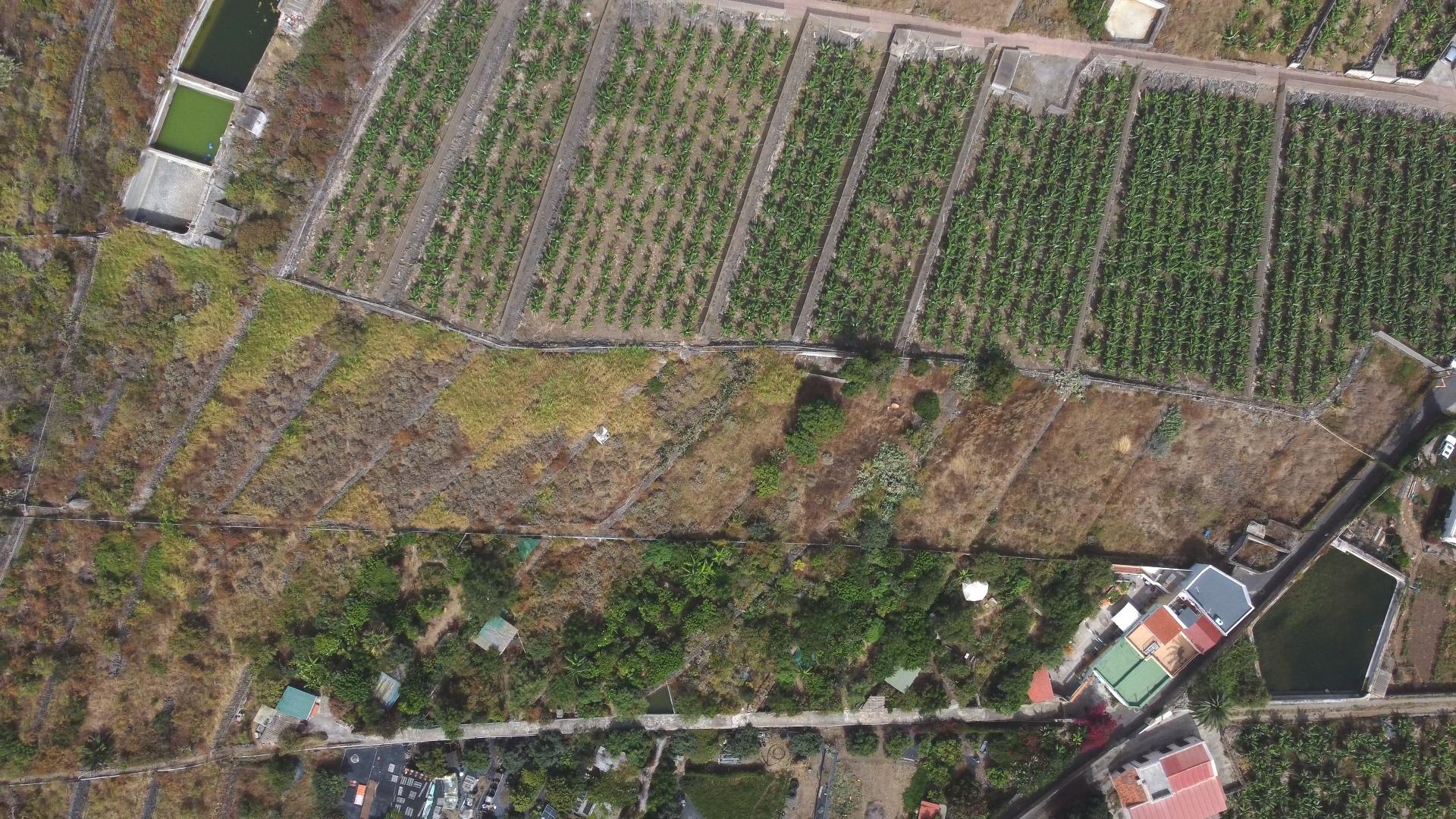 Casas rústicas en Silos, Los, Zona Centro — imagen 10