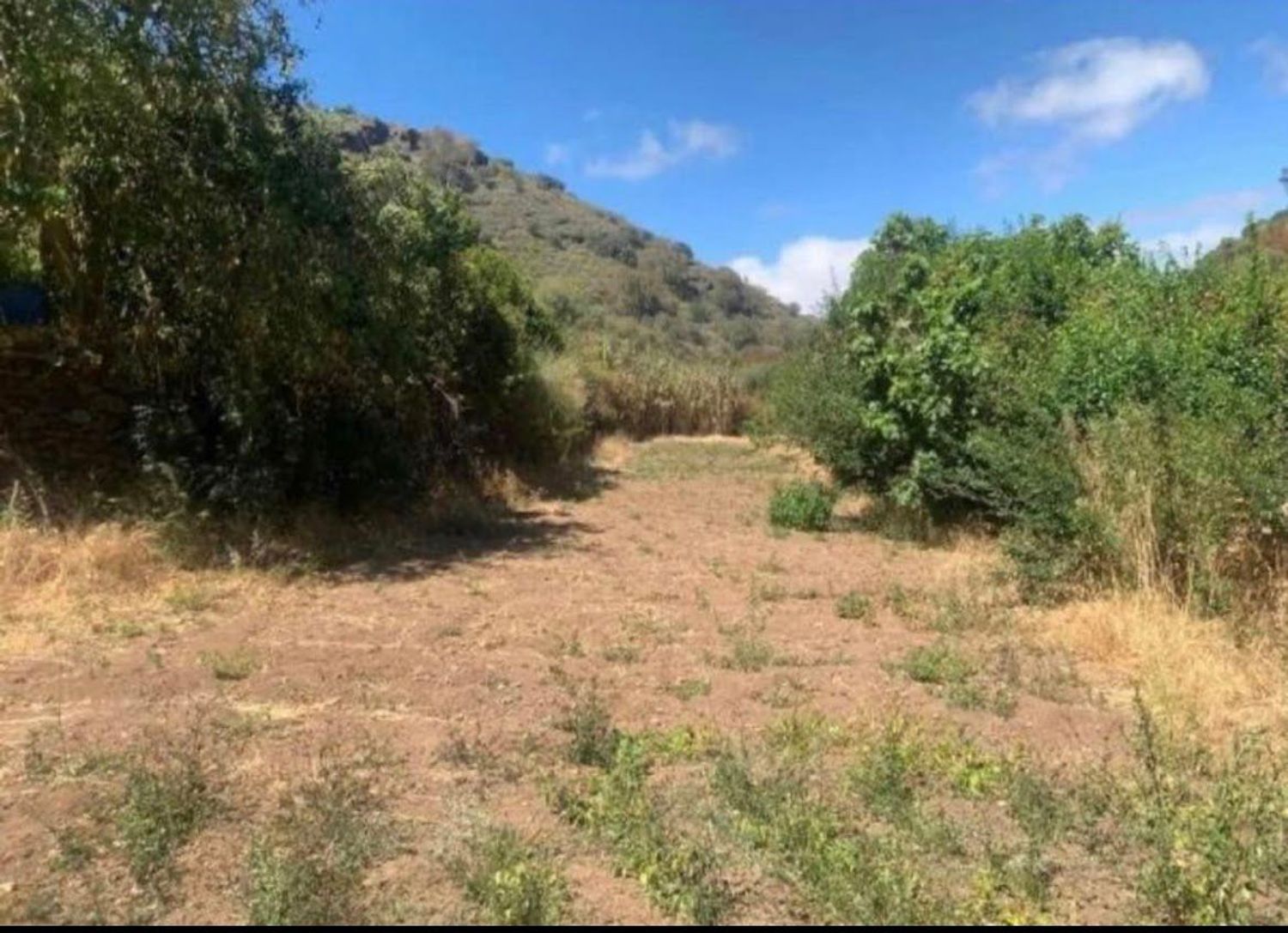 Terrenos en Palmas de Gran Canaria, Las, San Lorenzo — imagen 10