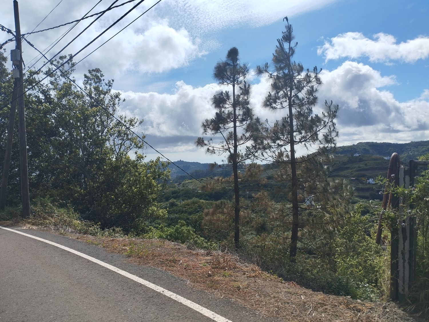 Terrenos en Moya — imagen 36