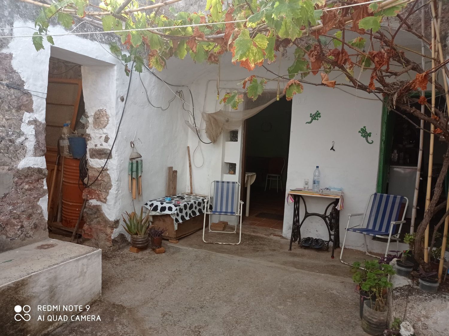 Terrenos en Moya — imagen 1