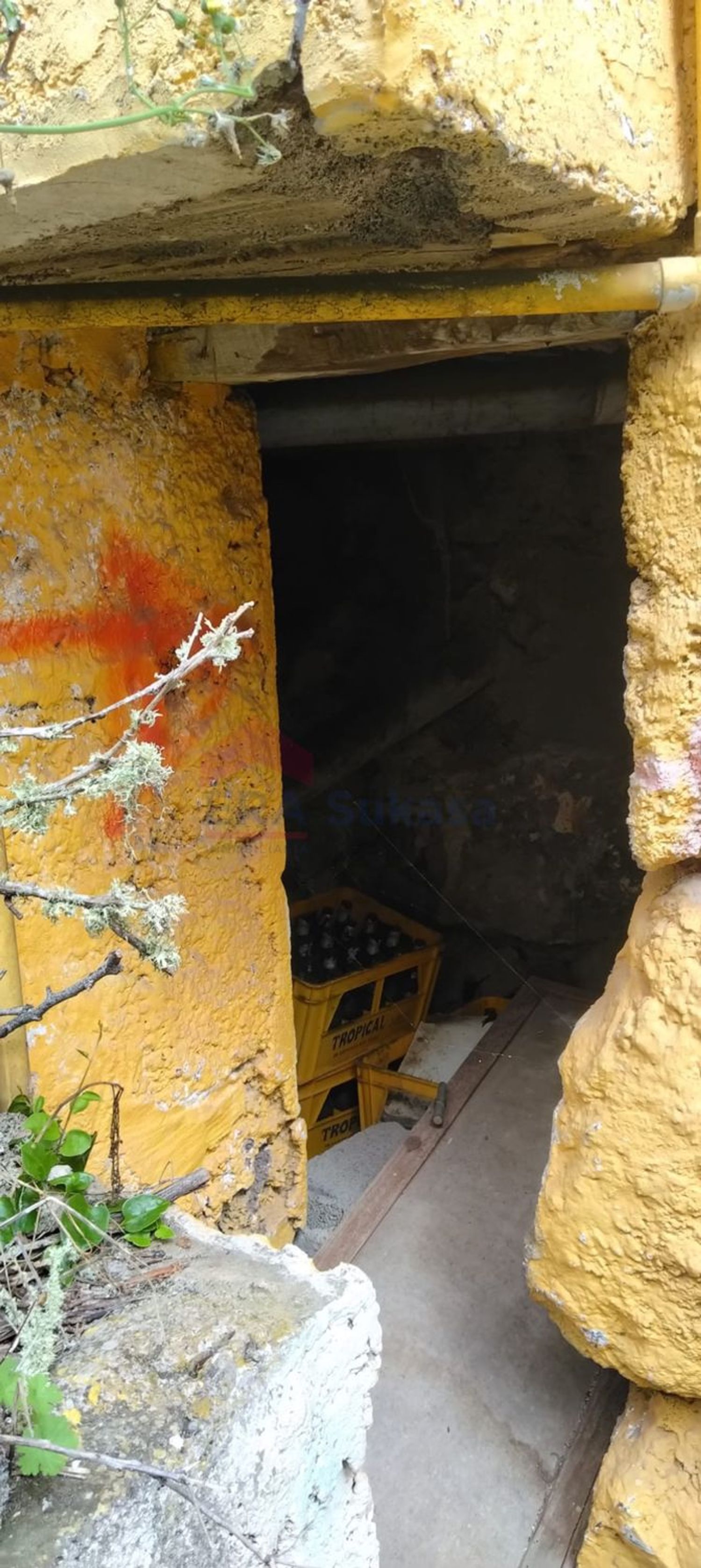 Independientes en Valverde — imagen 10