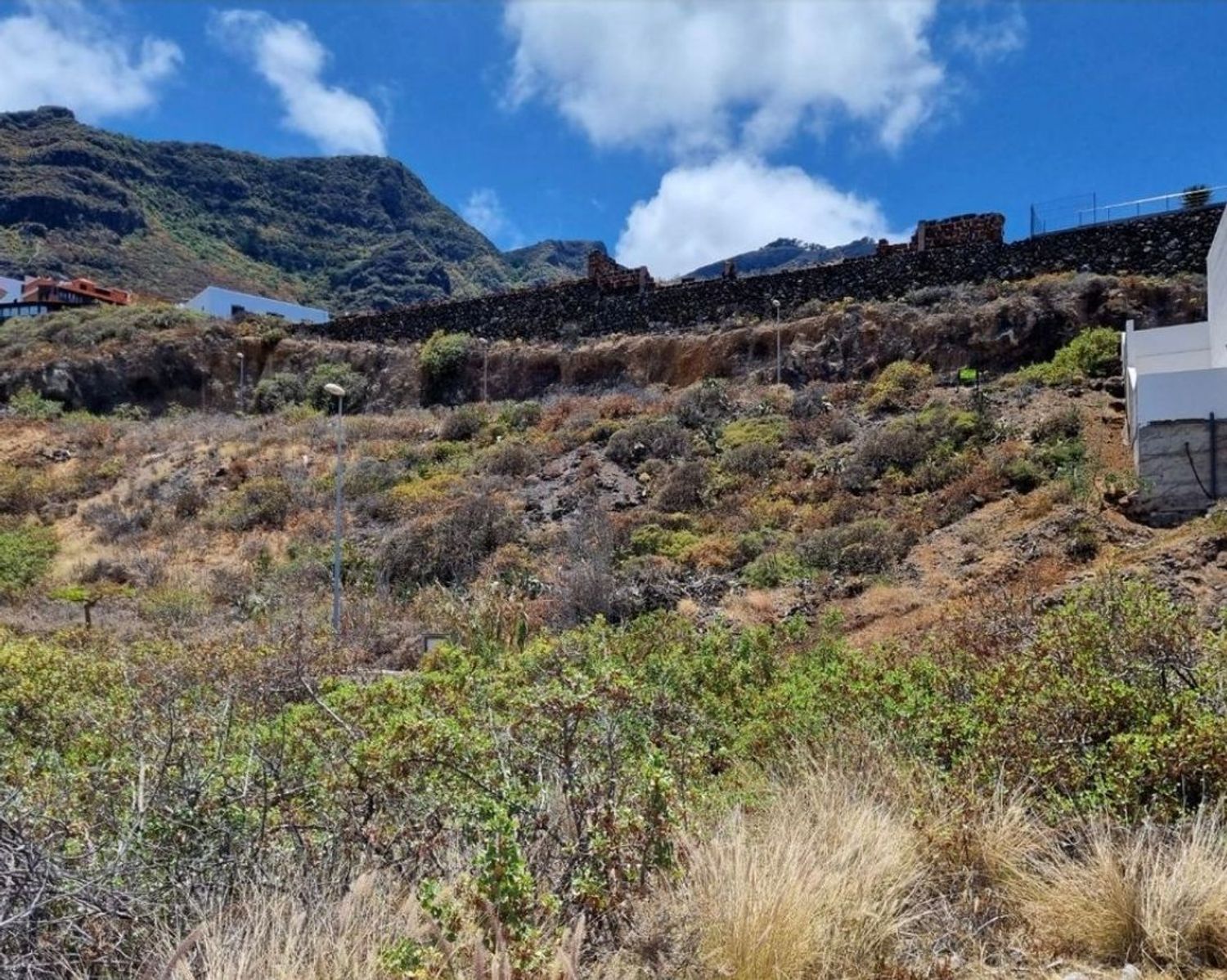 Terrenos en Garachico — imagen 13
