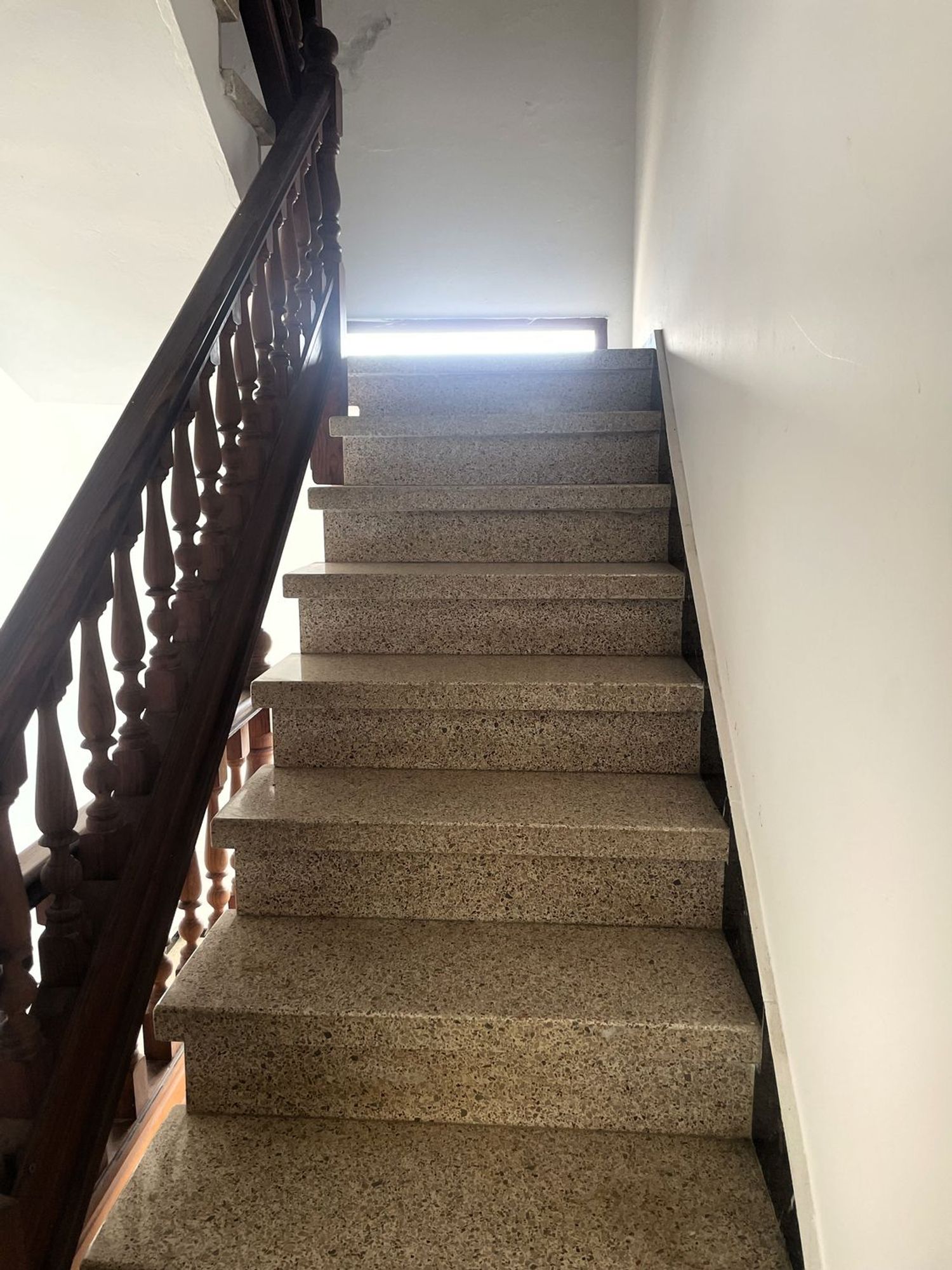 Pareados en Teror — imagen 34