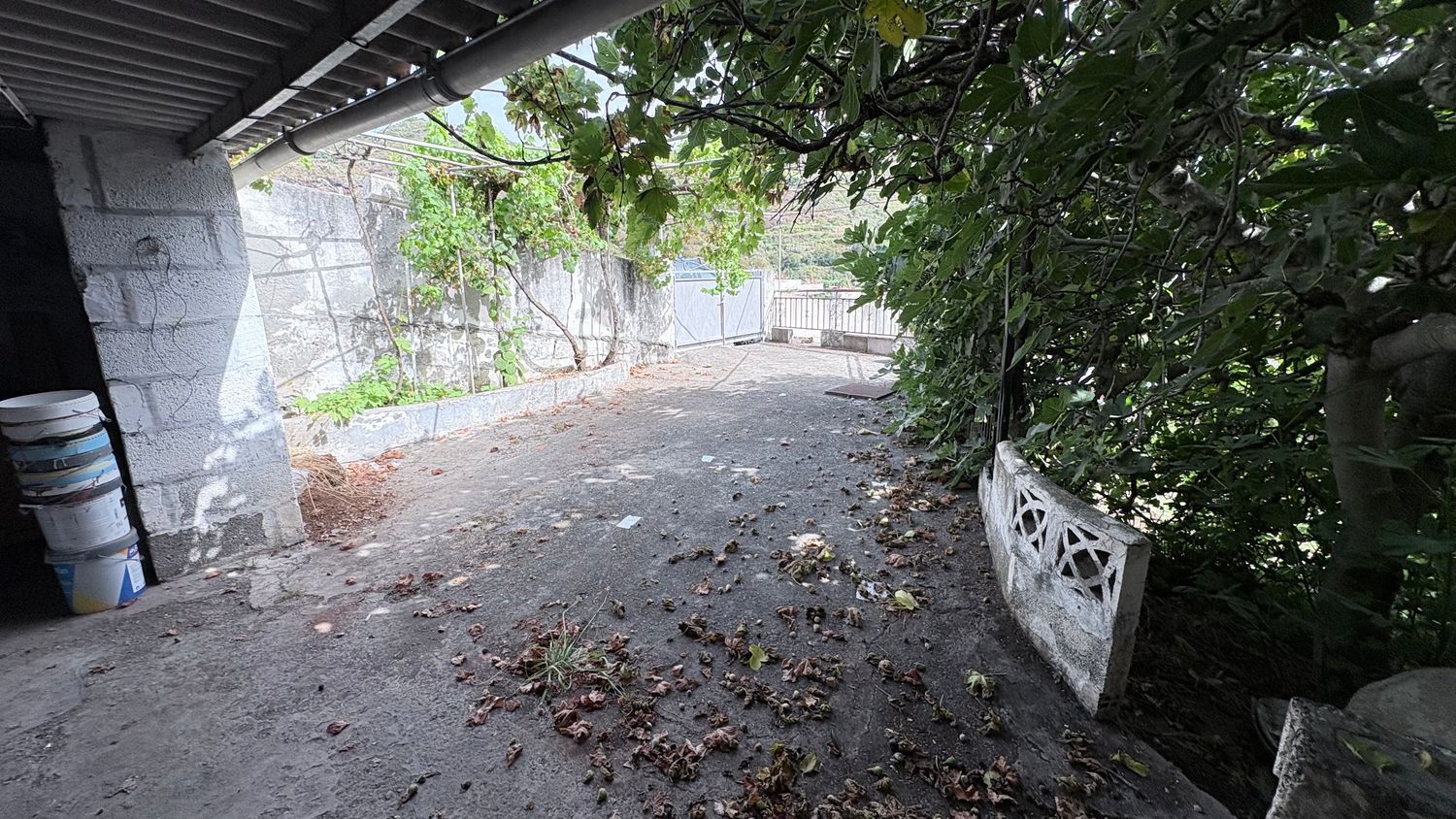Pareados en Teror — imagen 13