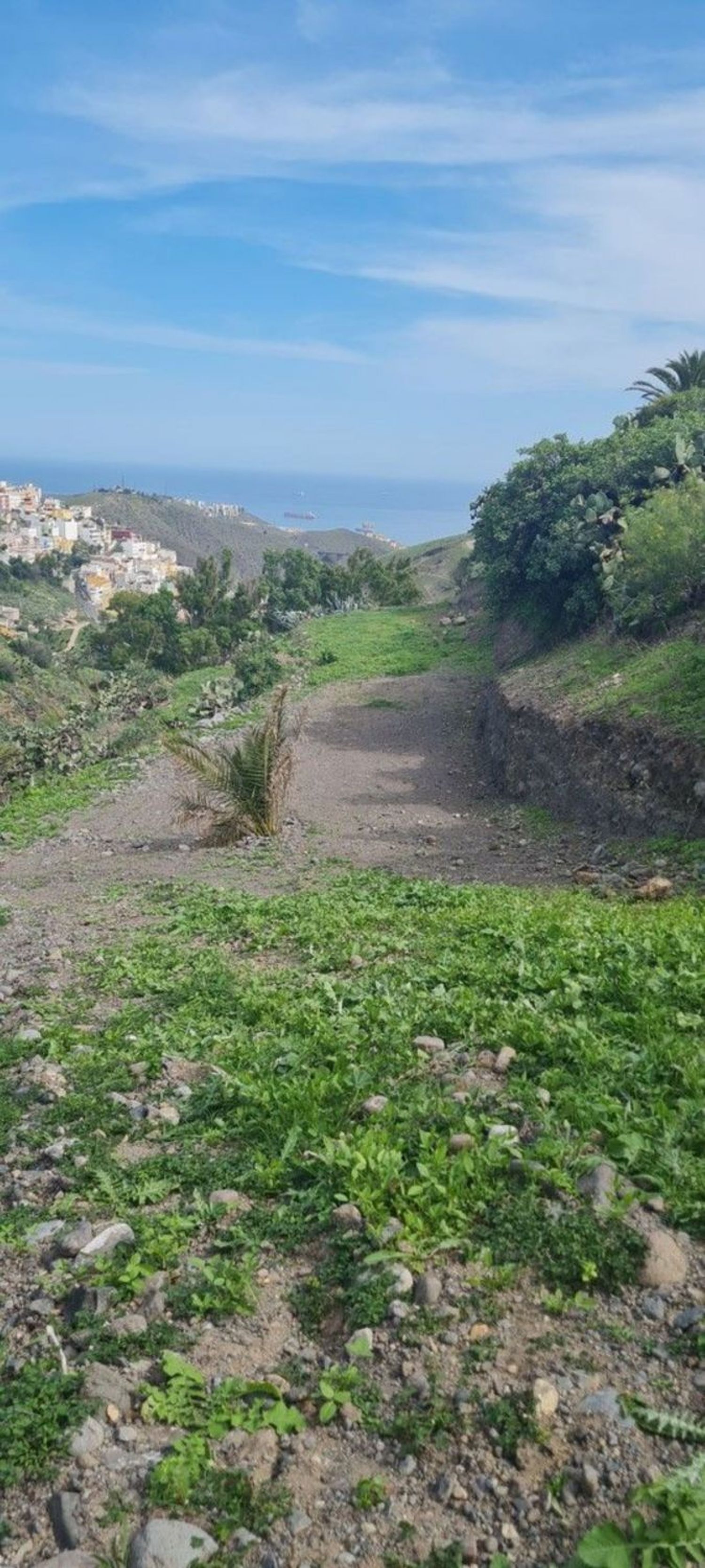 Terrenos en Palmas de Gran Canaria, Las, Tafira — imagen 1