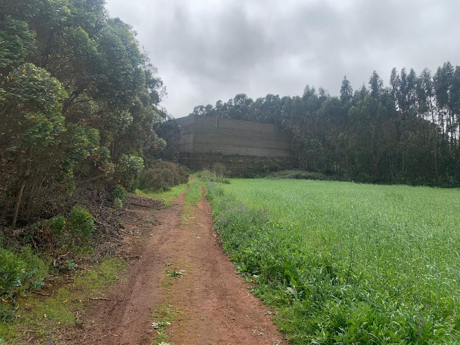 Terrenos en San Cristóbal de La Laguna, LA LAGUNA — imagen 12