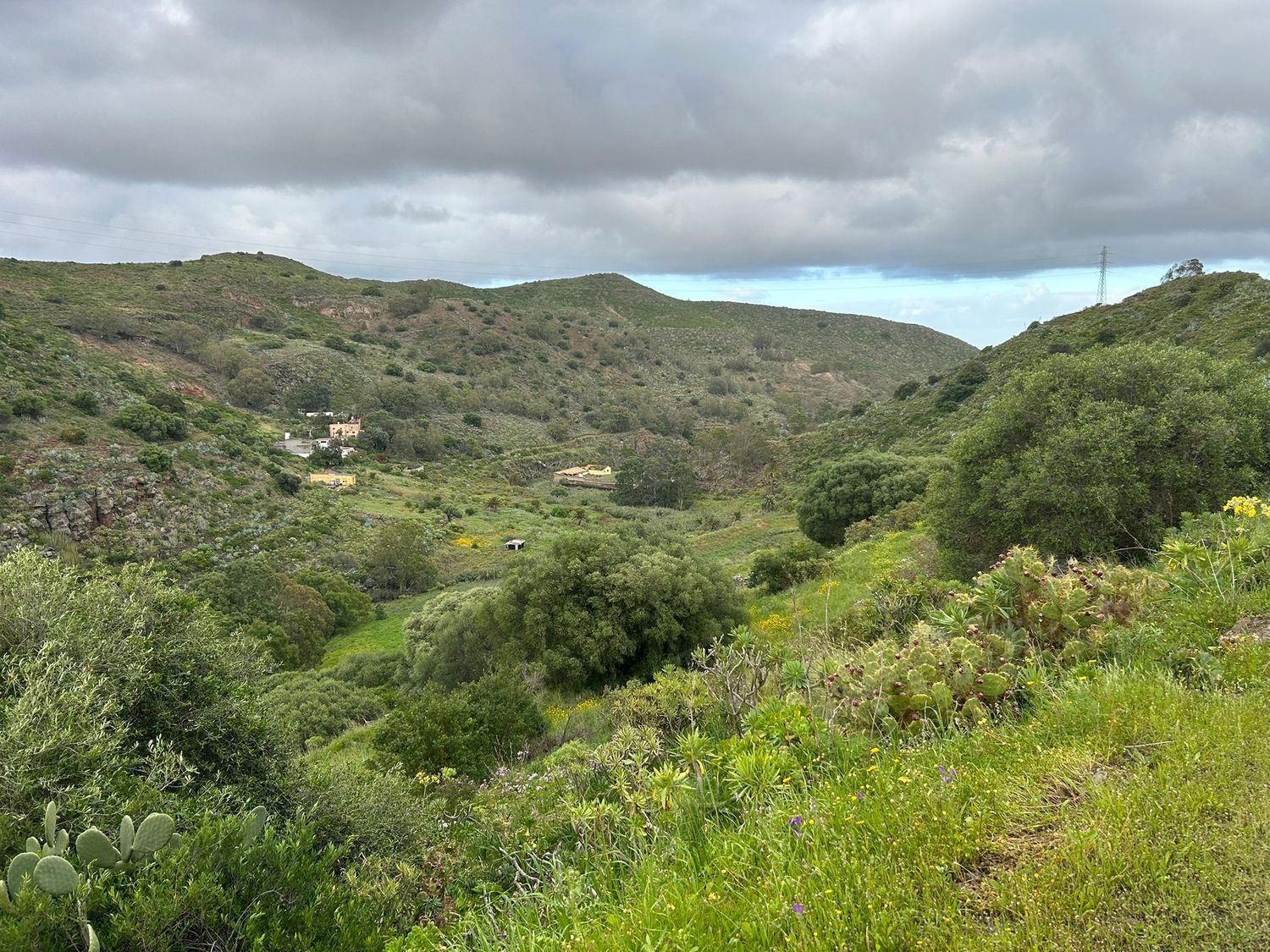 Terrenos en Palmas de Gran Canaria, Las, San Lorenzo — imagen 2