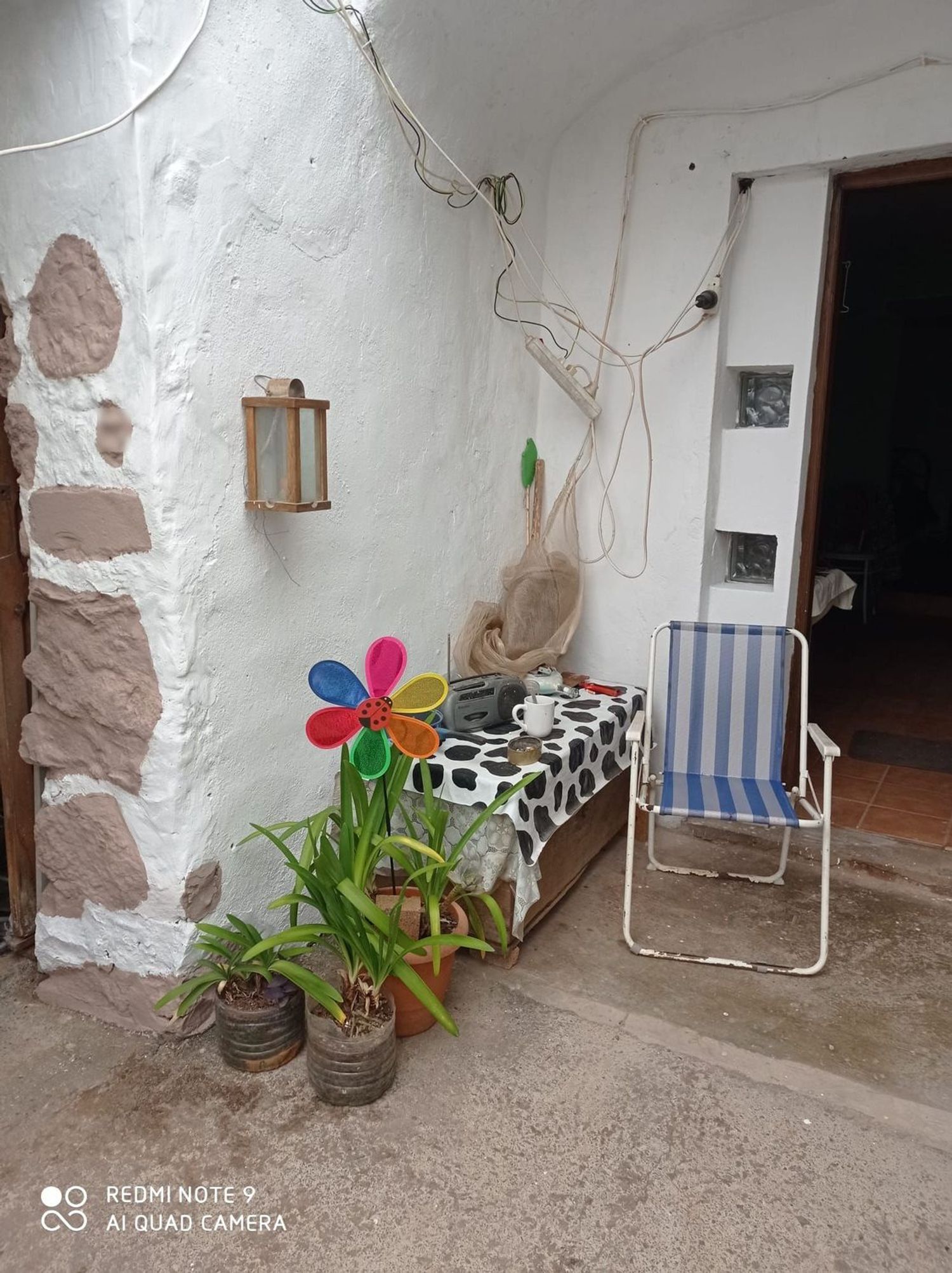 Terrenos en Moya — imagen 64