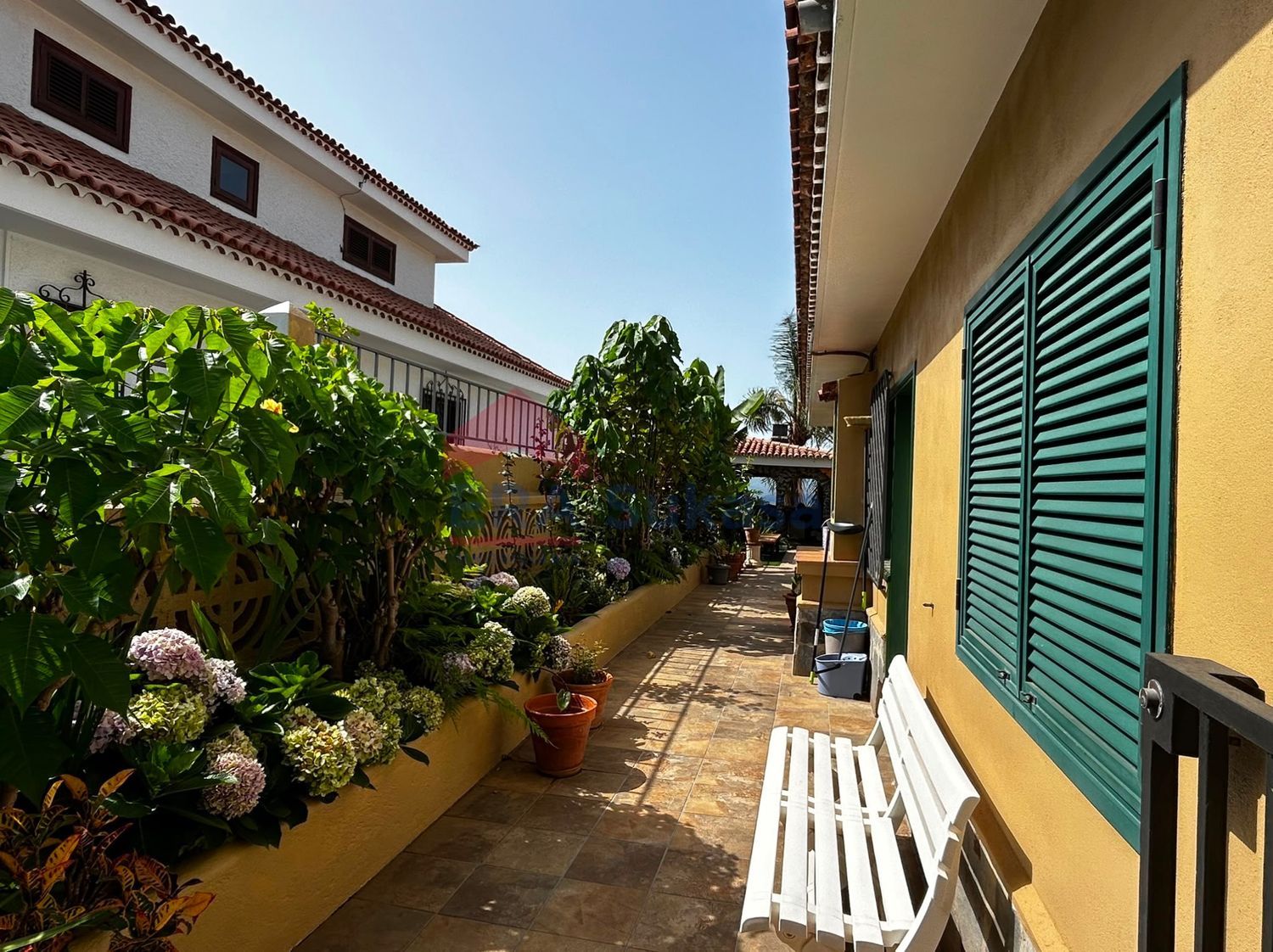 Independientes en Orotava, La — imagen 4