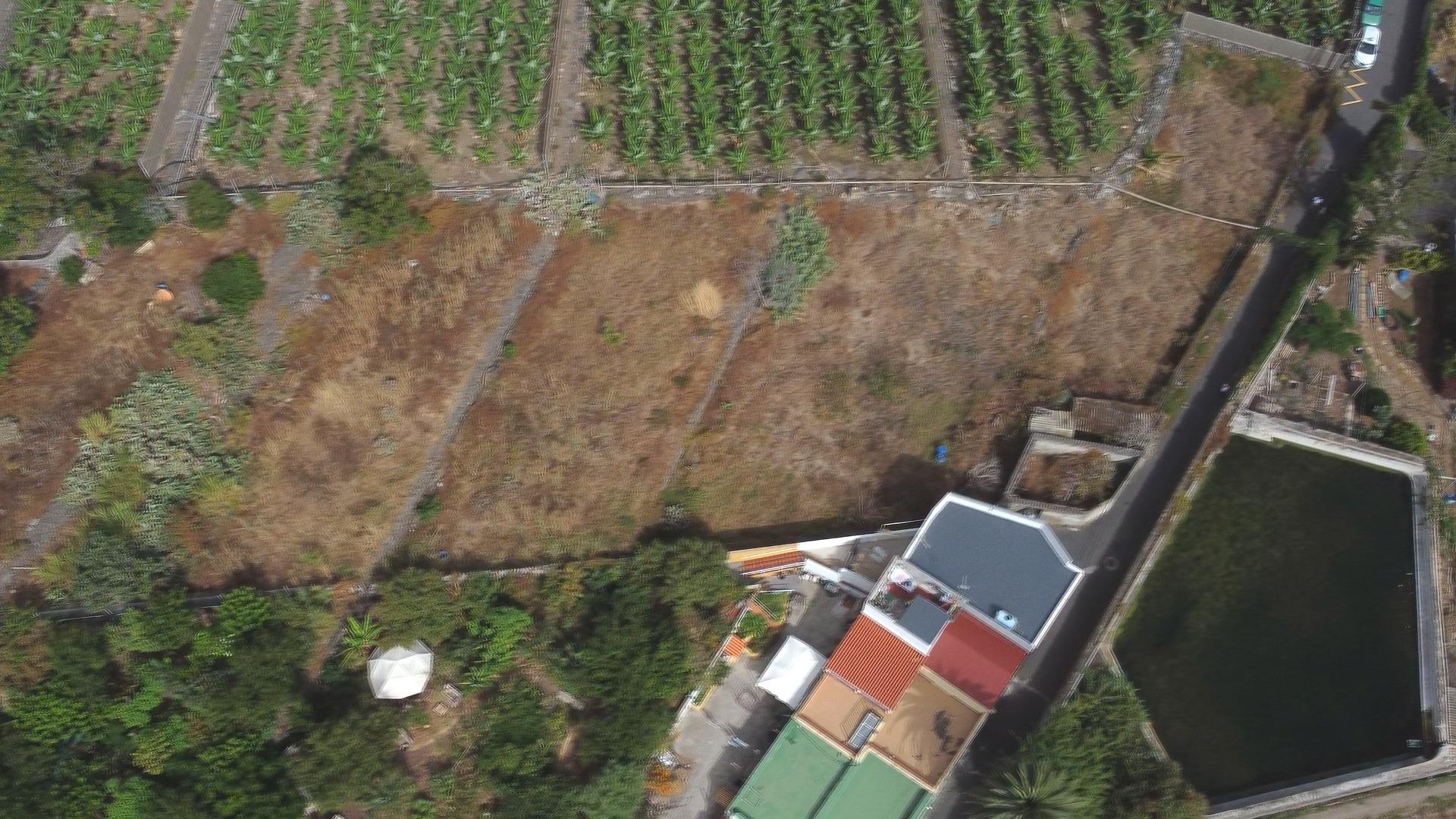 Casas rústicas en Silos, Los, Zona Centro — imagen 13