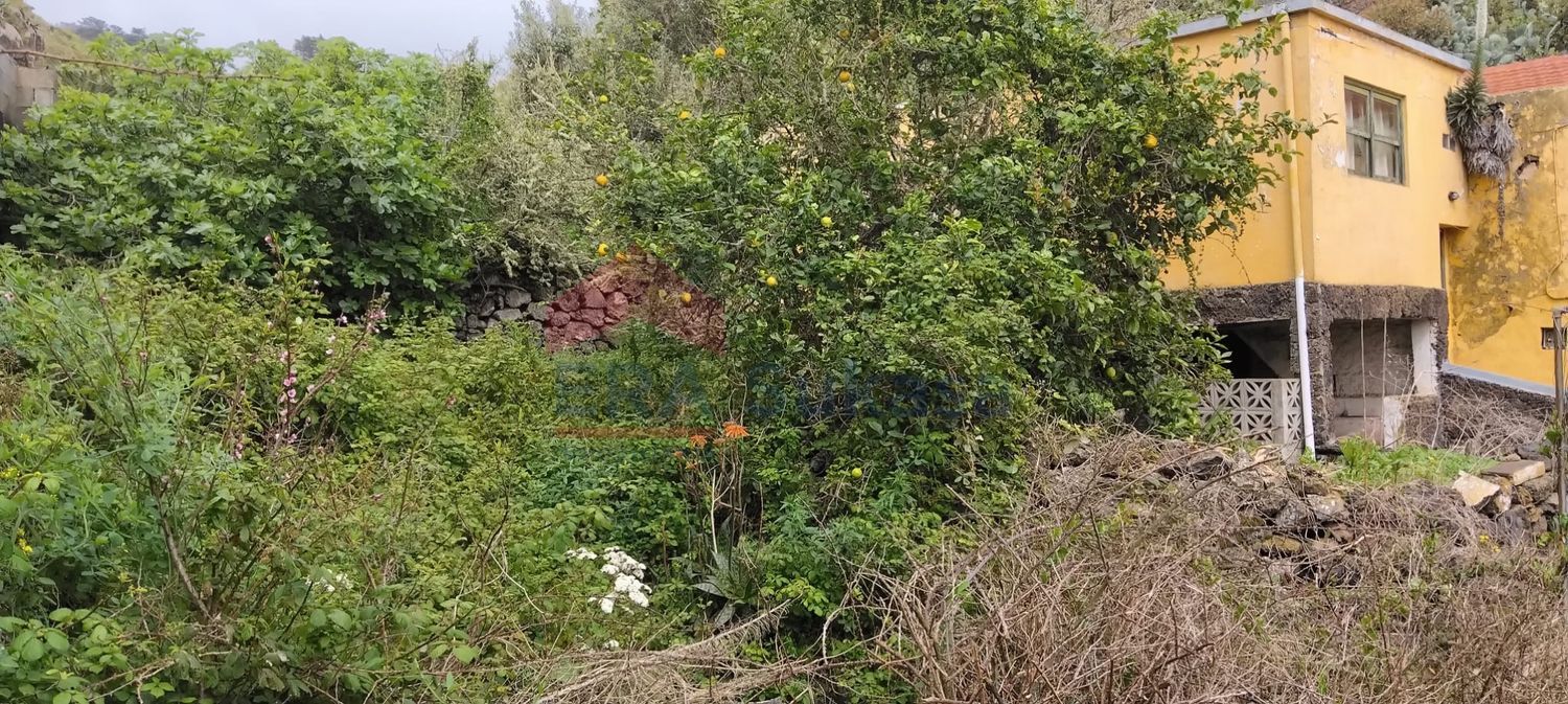 Independientes en Valverde — imagen 16