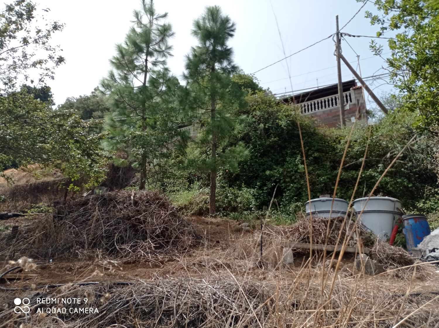 Terrenos en Moya — imagen 27