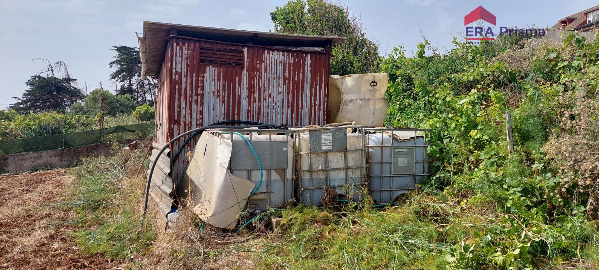 Casas rústicas en San Cristóbal de La Laguna, Los Baldíos — imagen 8