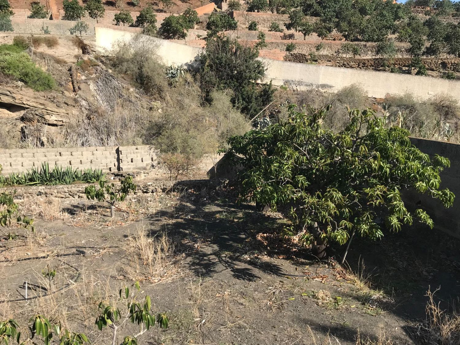 Casas rústicas en Telde — imagen 35