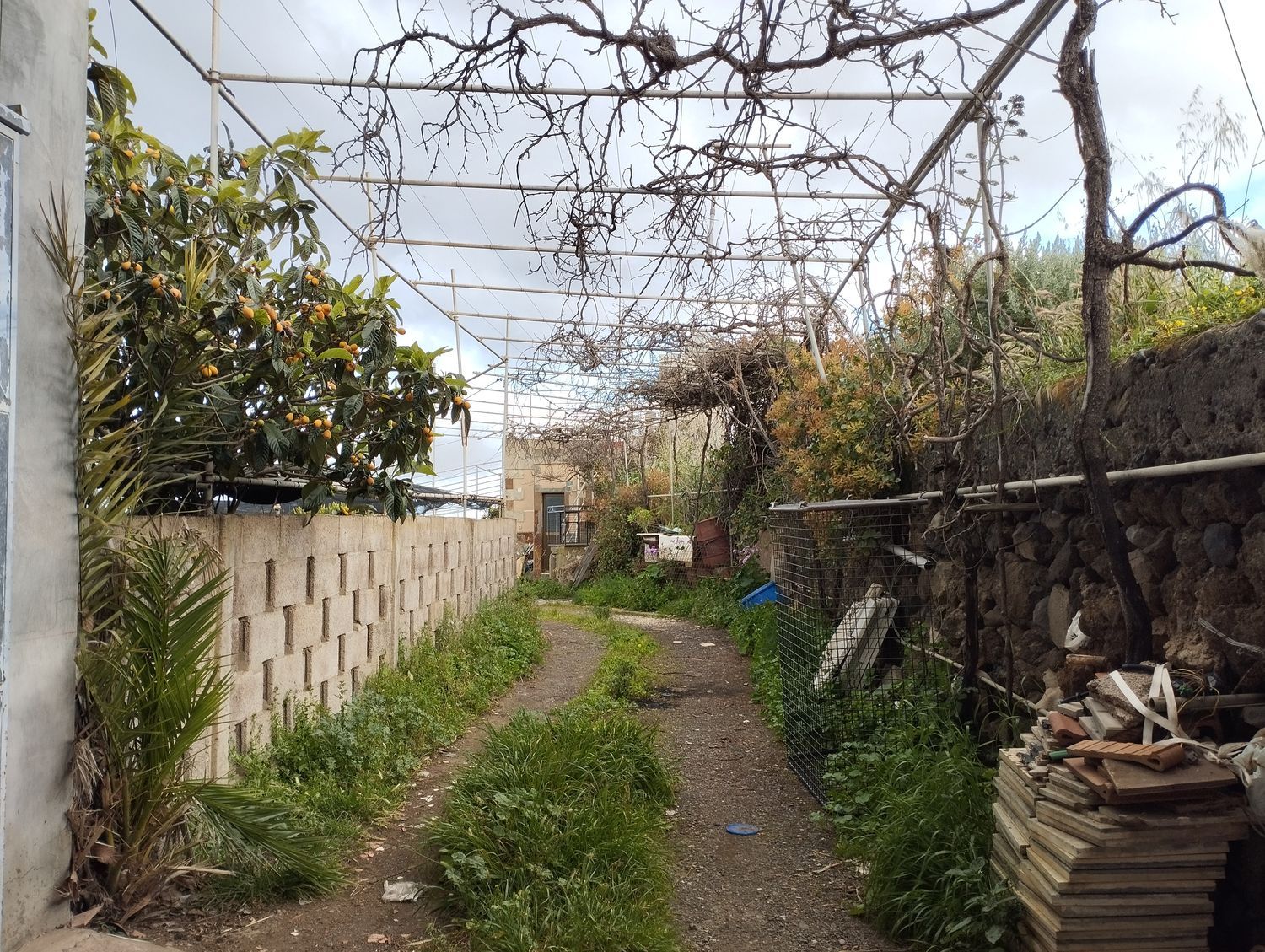 Terrenos en Telde — imagen 9