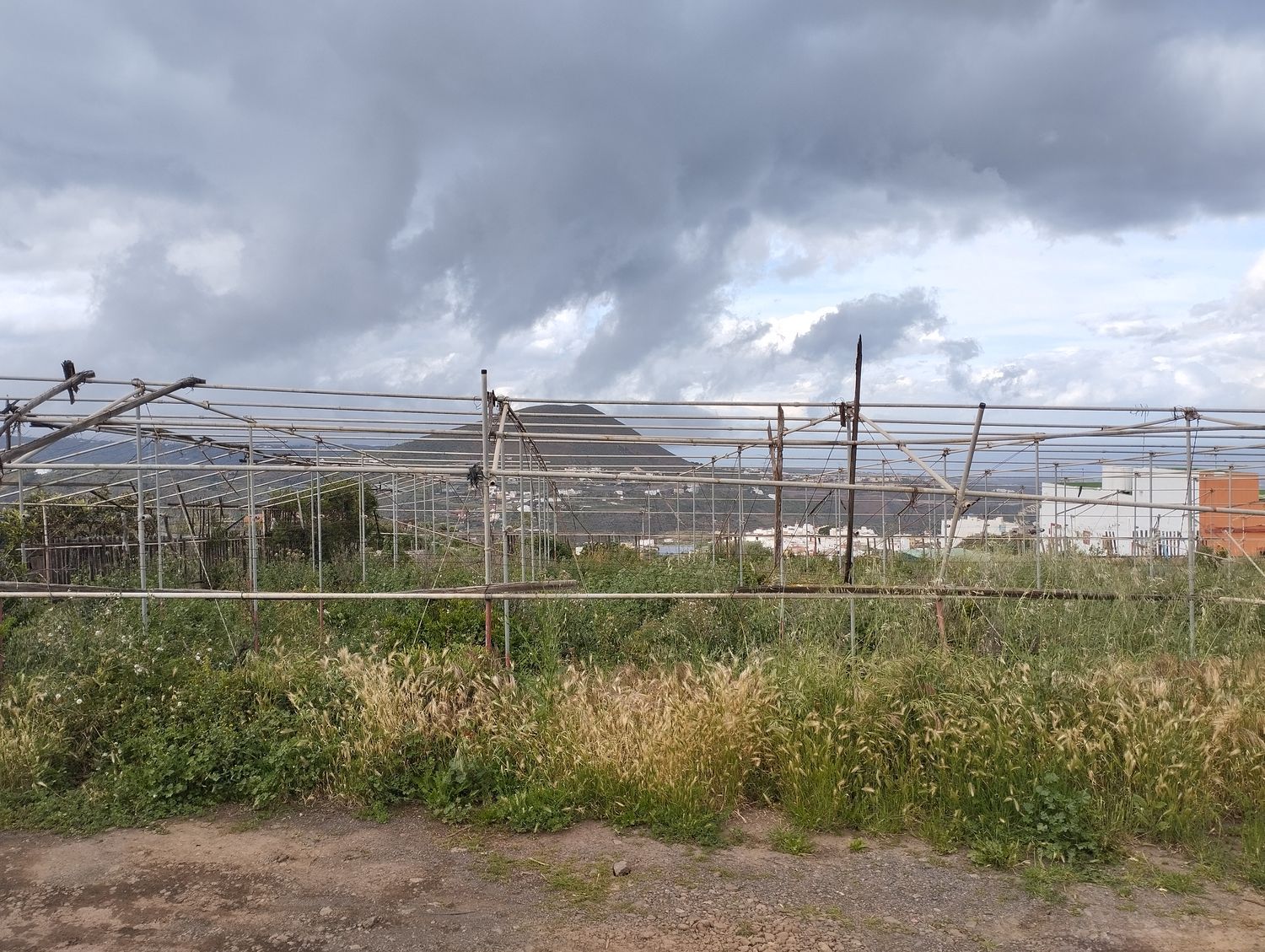 Terrenos en Telde — imagen 20
