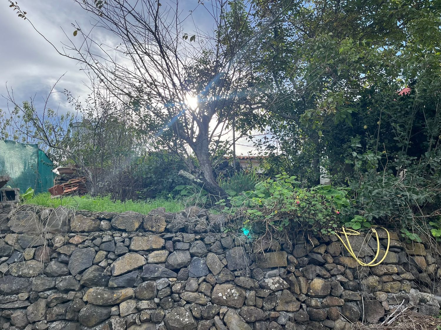 Independientes en Santa María de Guía de Gran Canaria — imagen 7